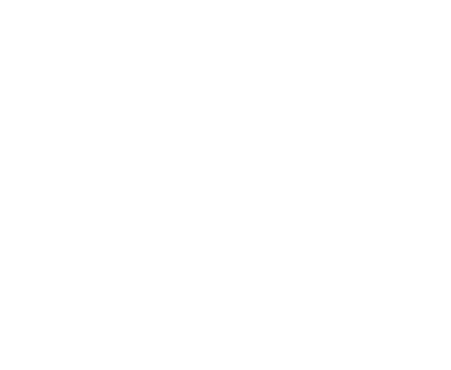 Outline drawing of a human brain on a black background.