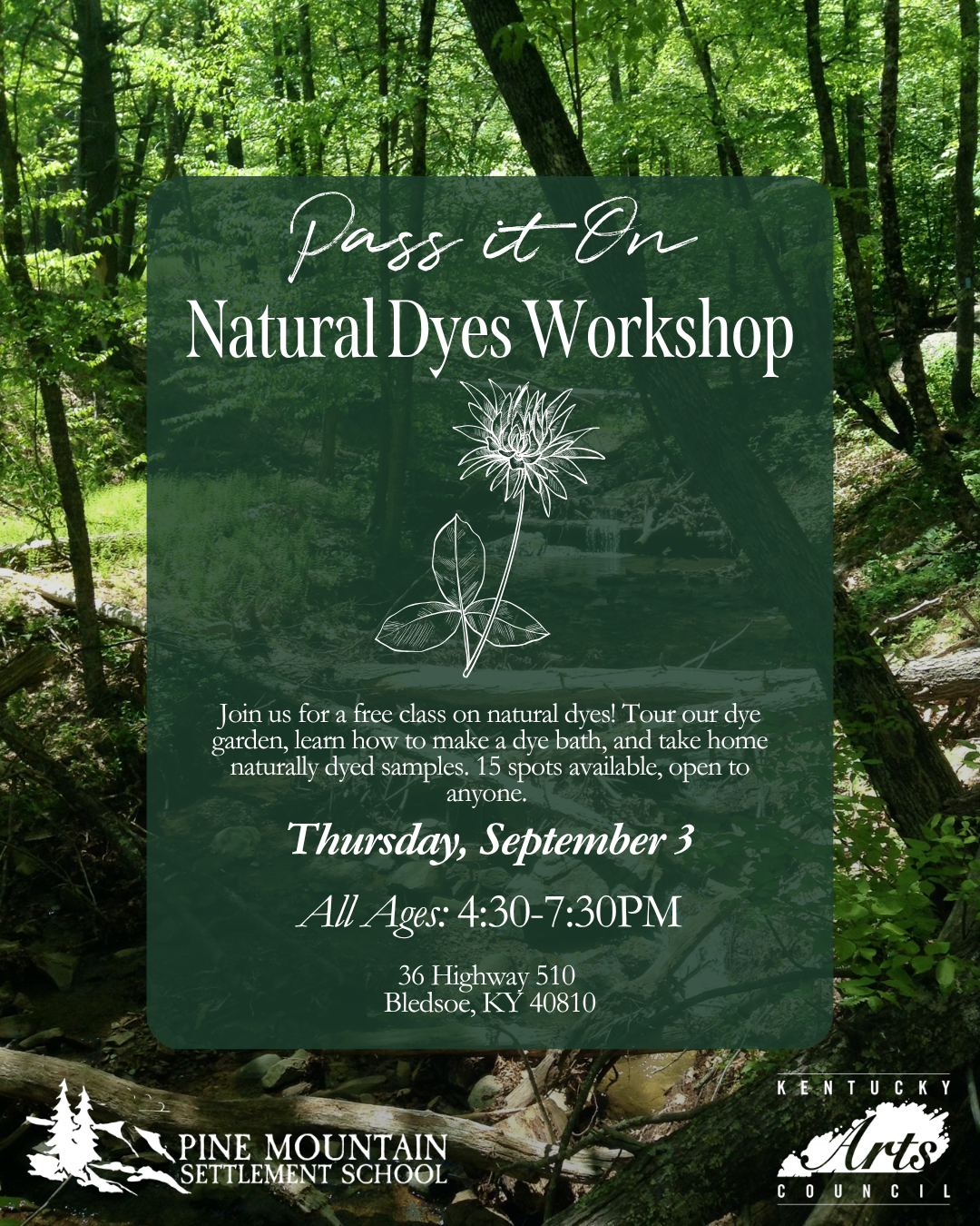 Pass it On Natural Dyes Workshop