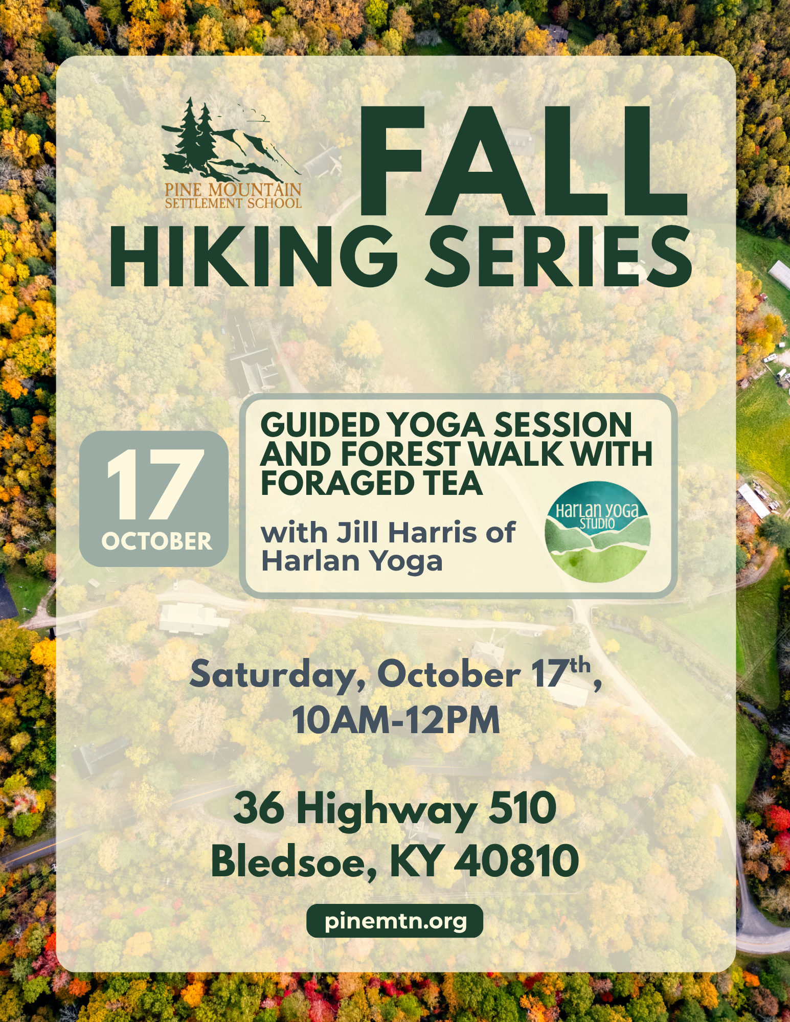 Guided yoga session and forest walk with foraged tea
