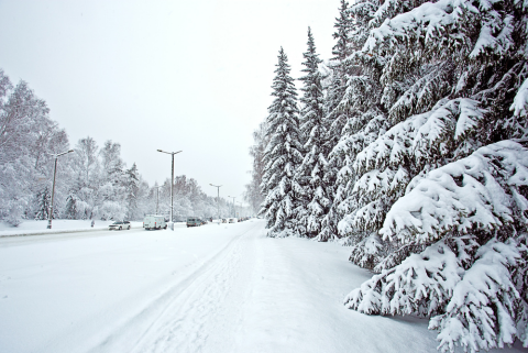 Winter Insurance Tips Every Michigan Homeowner Should Know