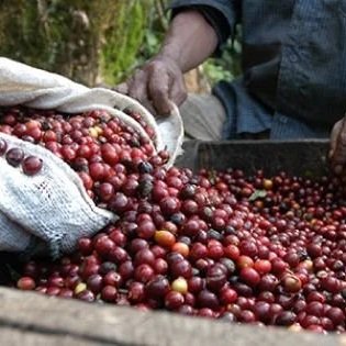 coffee1_44d14bbc95.jpg