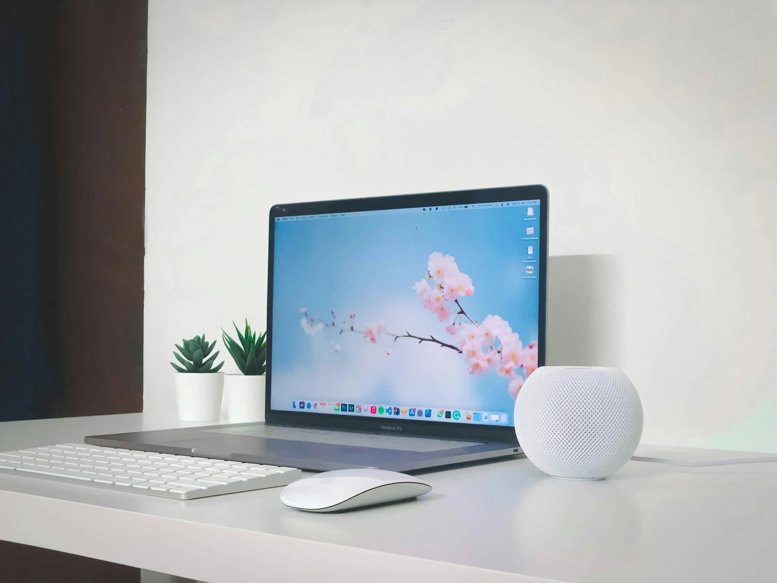 A computer workspace featuring an iMac with a cherry blossom wallpaper, a white Apple Magic Keyboard and Mouse, a white cylindrical speaker, and two small potted succulents on a white desk.
