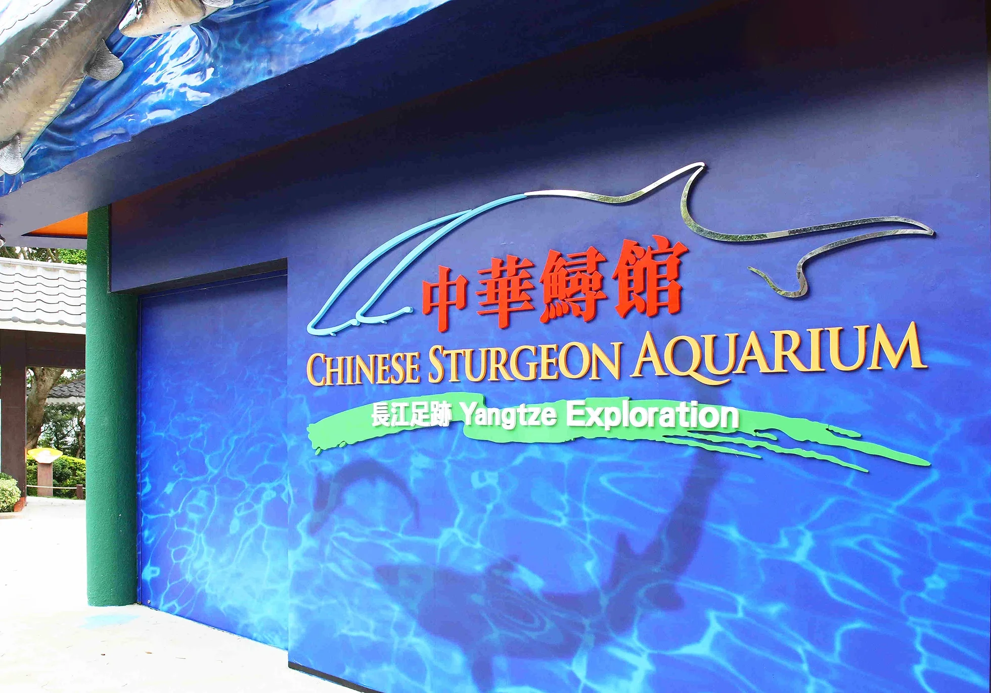 Sign for the Chinese Sturgeon Aquarium and Yangtze Exploration with a blue background and stylized fish outline.
