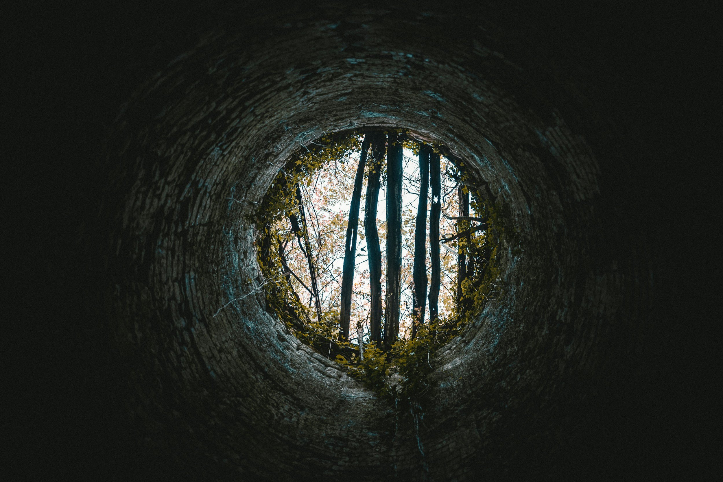 Suffering vs Discomfort: Why the distinction matters