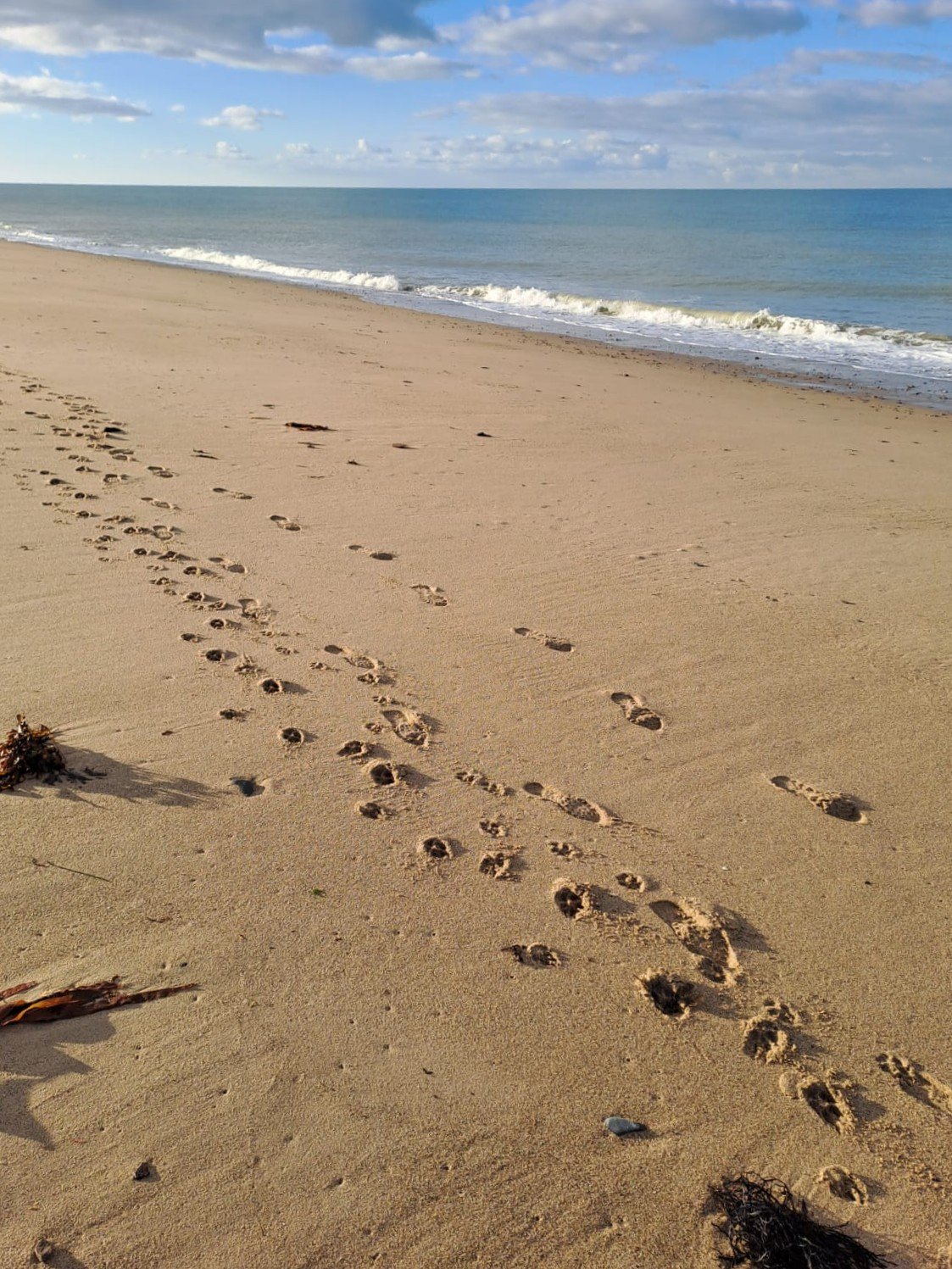 Footprints in the sand on a beach with calm waves and a partly cloudy sky.