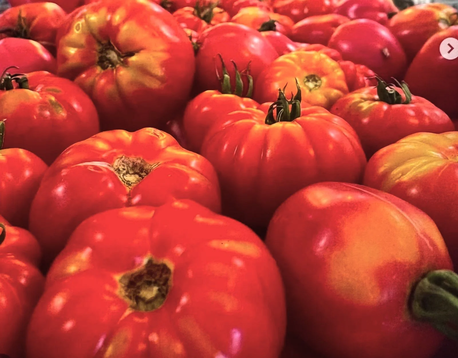 A pile of red tomatoes with green stems in a market or grocery store.