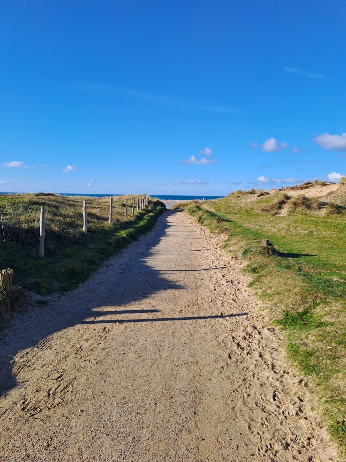 A sandy dirt path leading toward the ocean with grassy dunes on both sides under a clear blue sky.