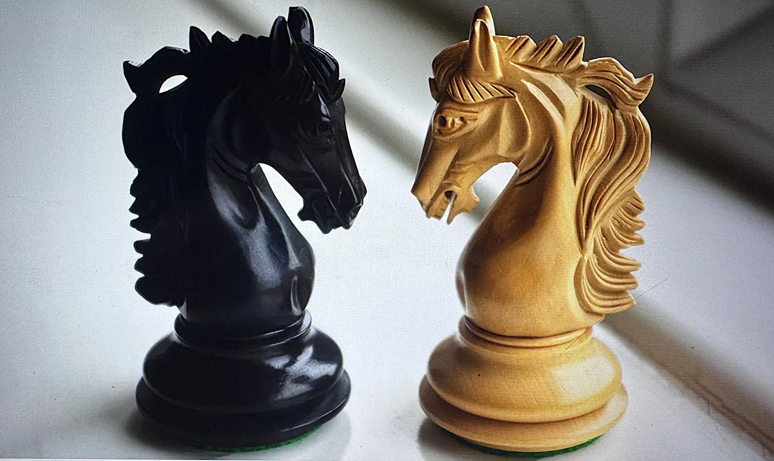 Two chess knight pieces, one black and one cream-colored, facing each other on a white surface.