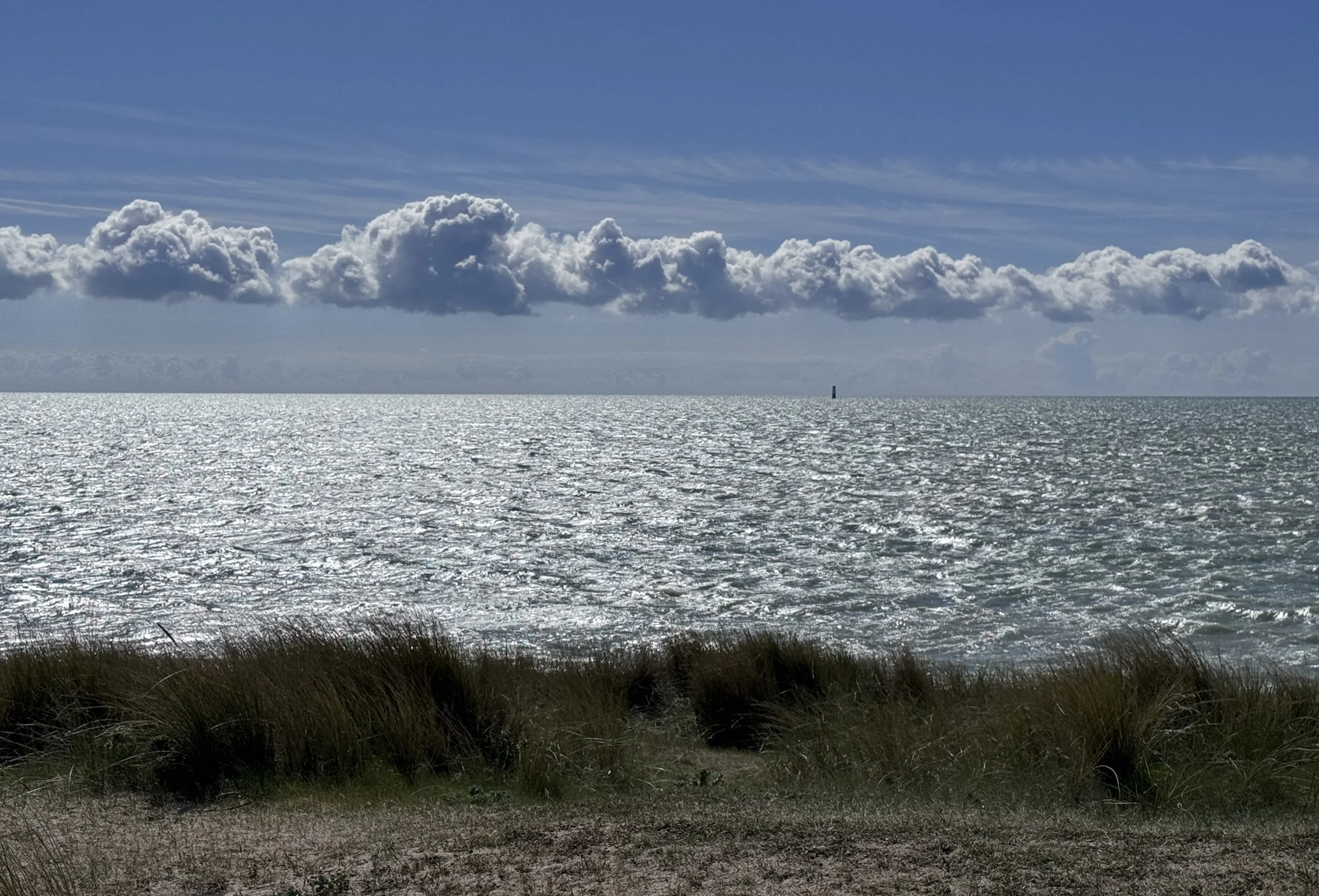 A landscape view of a body of water, possibly a lake or ocean, with grass and shrubs in the foreground, a cloudy sky with streaks of clouds above, and a single structure on the horizon.