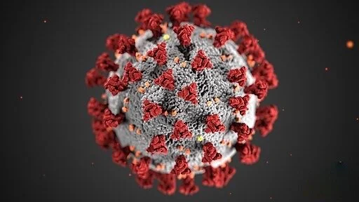 Coronavirus (COVID-19) Information: