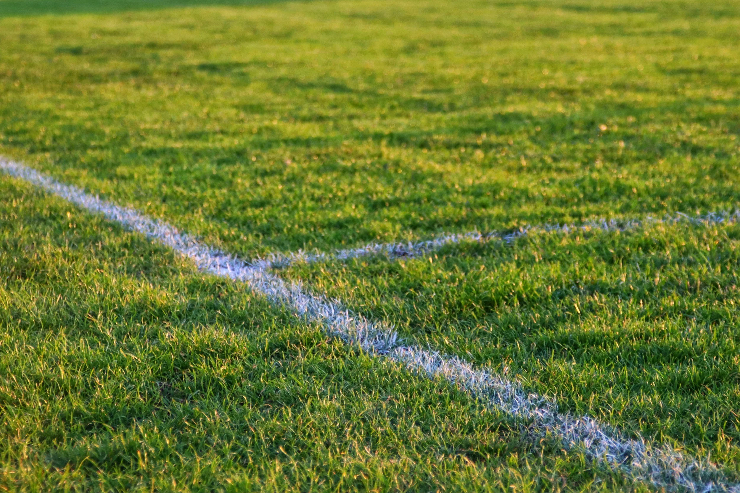 Close-up view of a well-maintained green grass field with white boundary lines, likely part of a sports field.