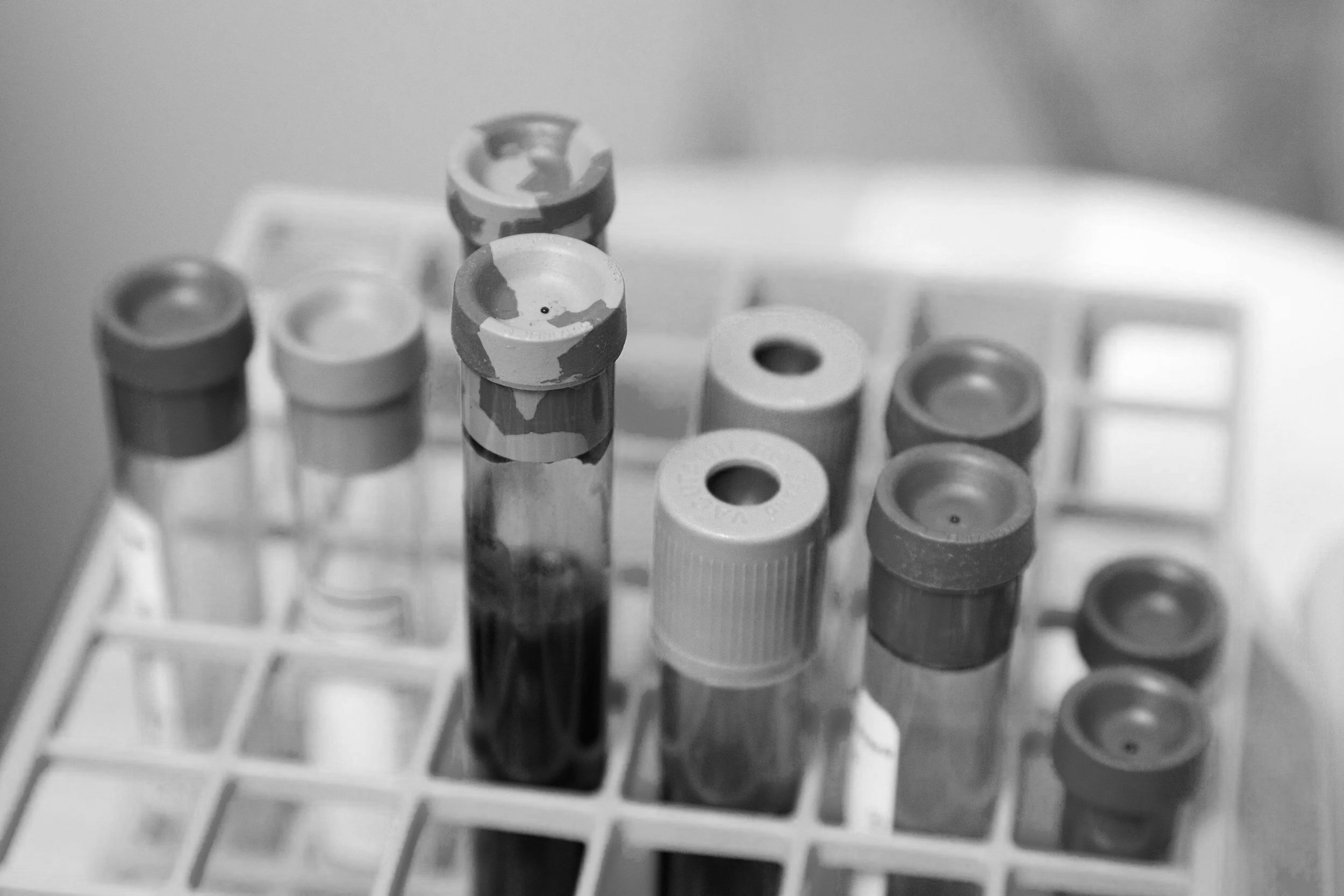 Black and white photograph of test tubes placed in a test tube rack.
