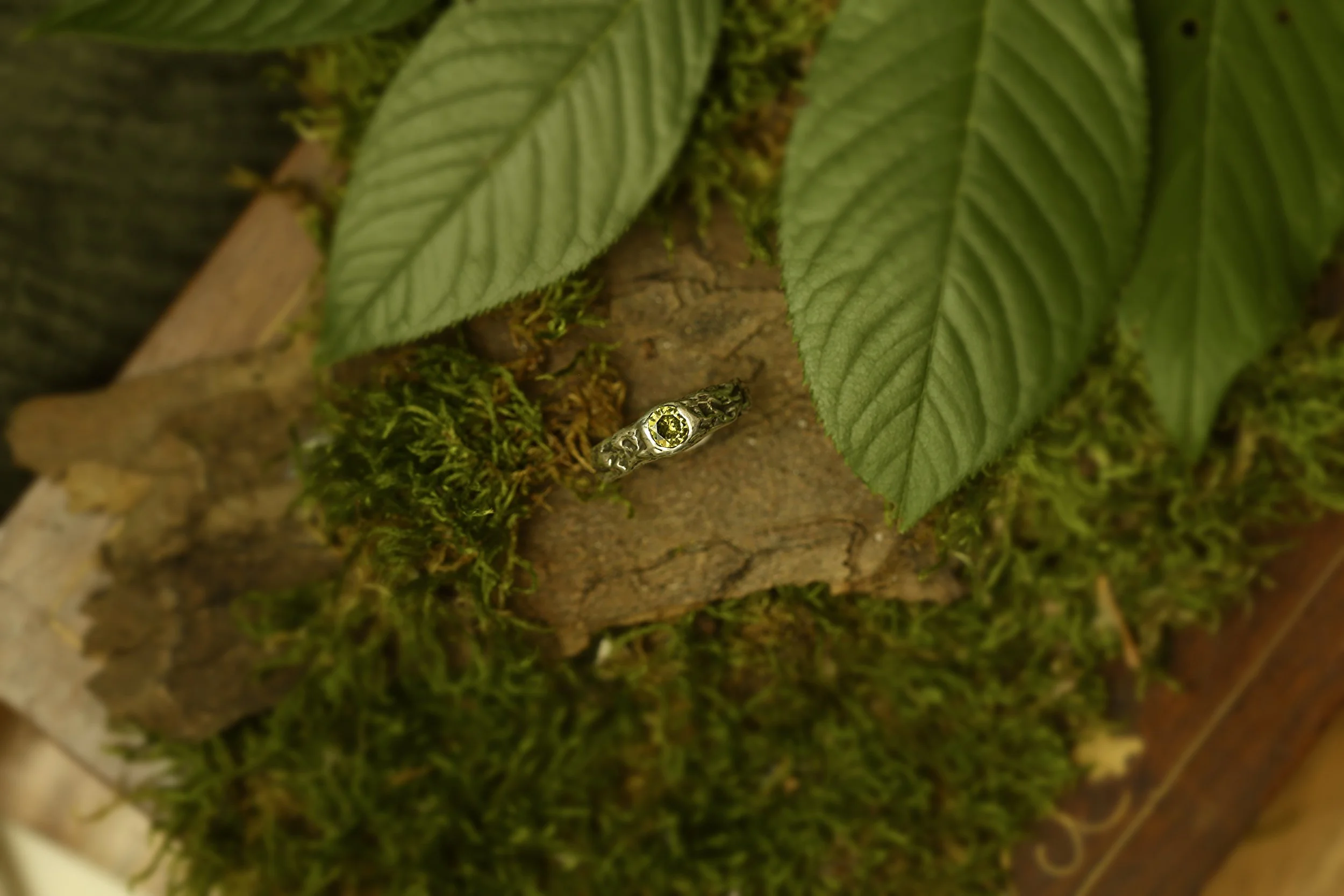a ring I think a fairy would wear