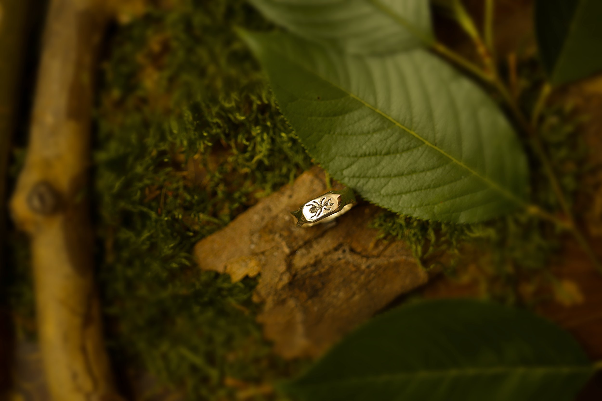 picnic ant ring