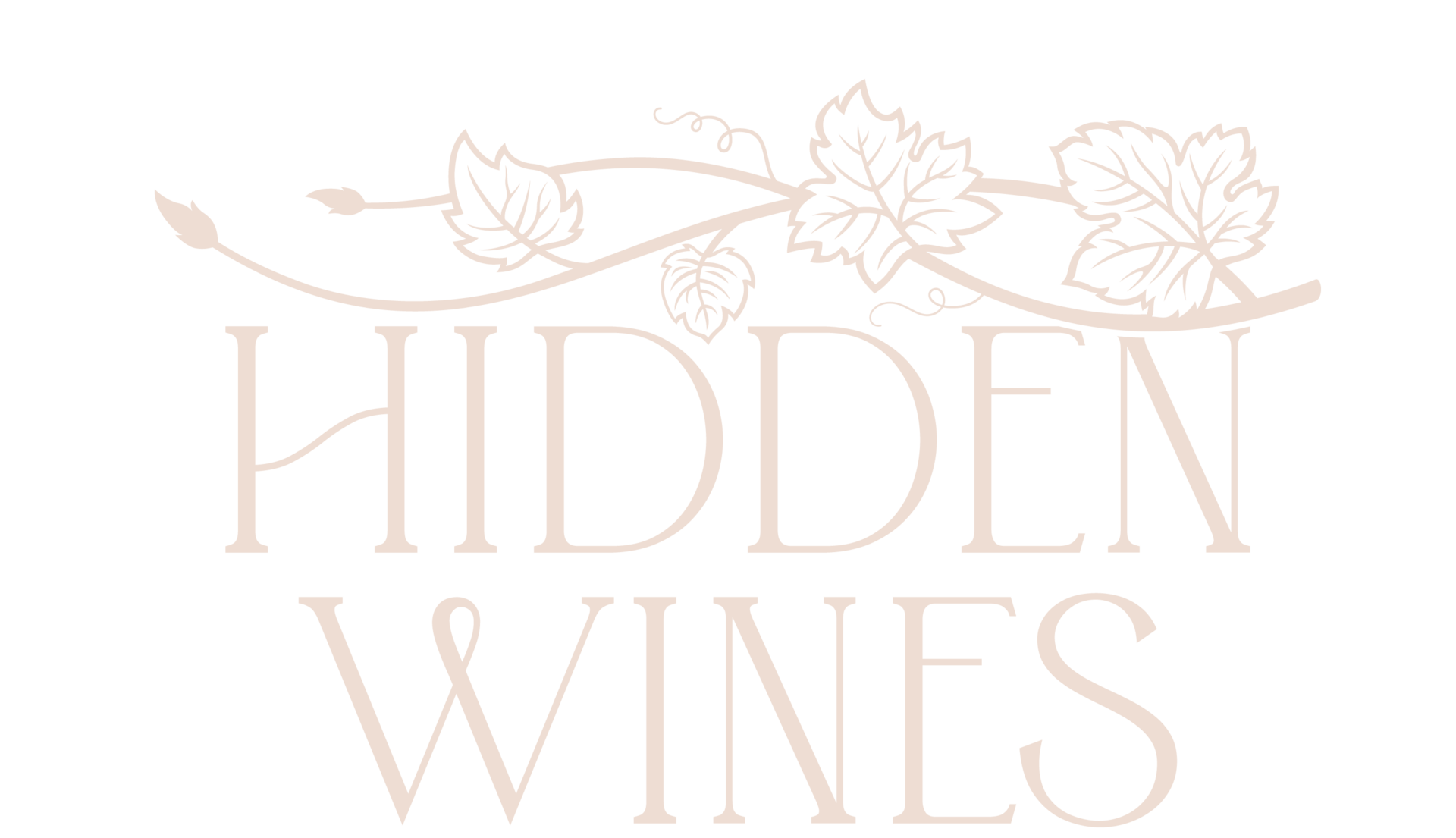 An Evening Through ancient vineyards with hidden wines