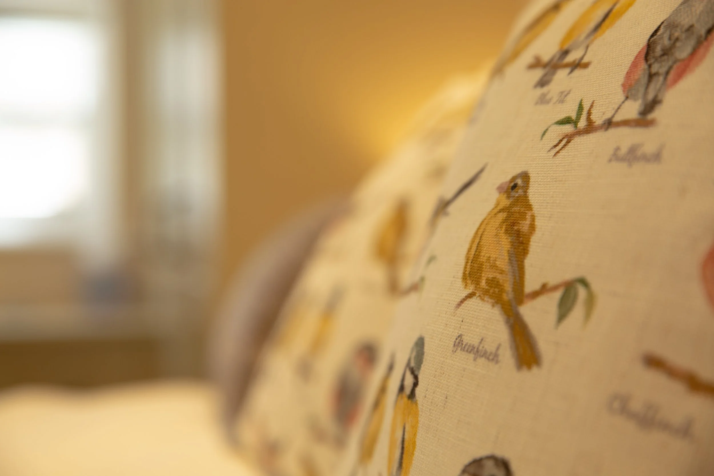Close-up of a page from a vintage illustrated book with drawings of animals and handwritten text.