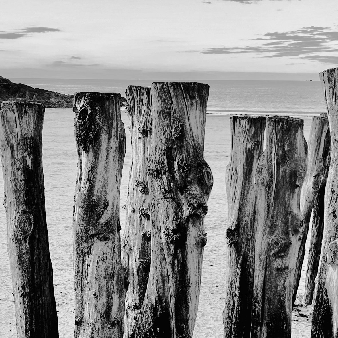 Stämme-Strand_2.jpg