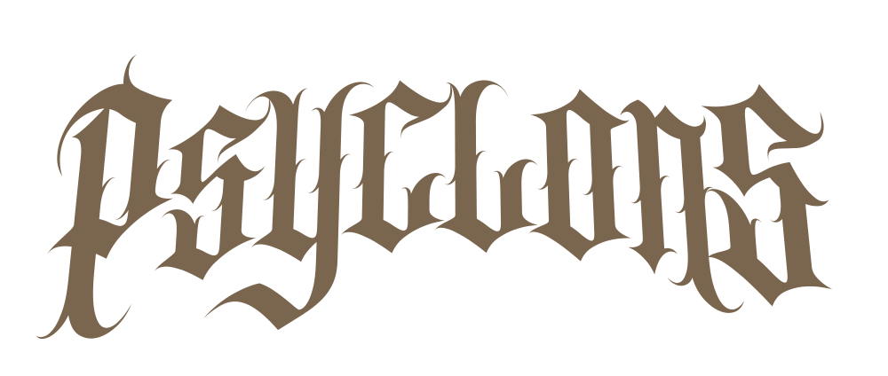 Logo textuel en style gothique avec le mot 'Destruction' en lettres marron foncé sur fond noir.