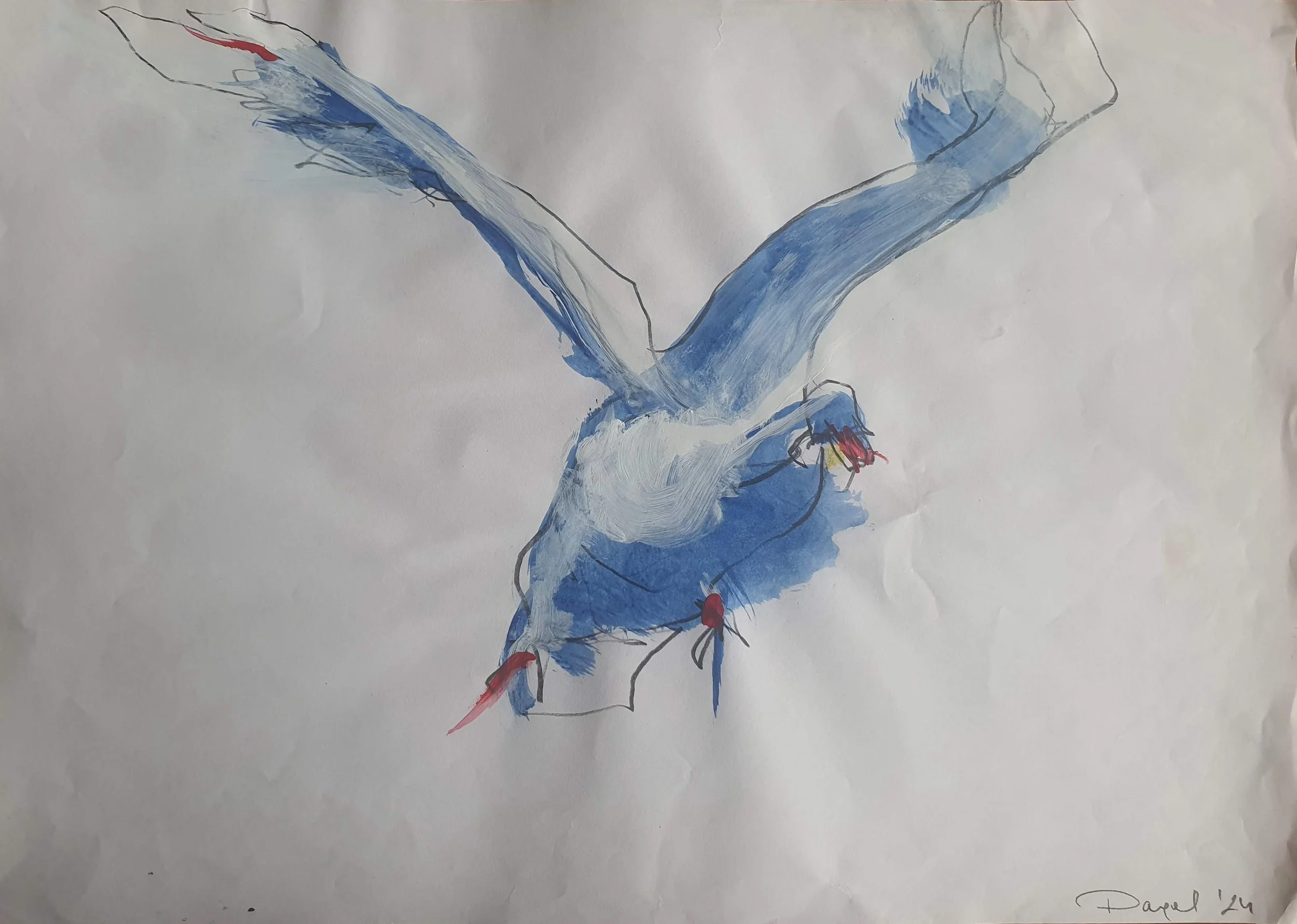 Swan. 3
Pencil and Acrylics on Paper
30 x 42 cm