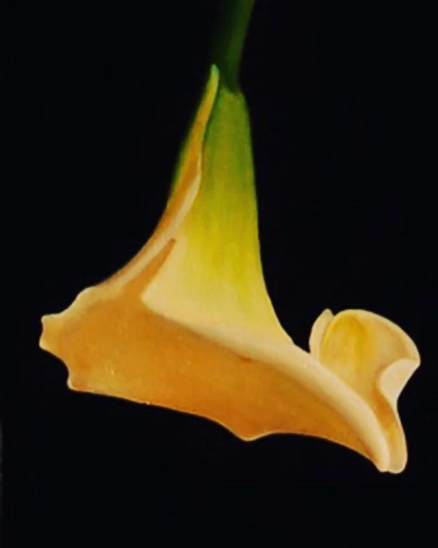 "For You"
Oil on Canvas
12 x 24 in