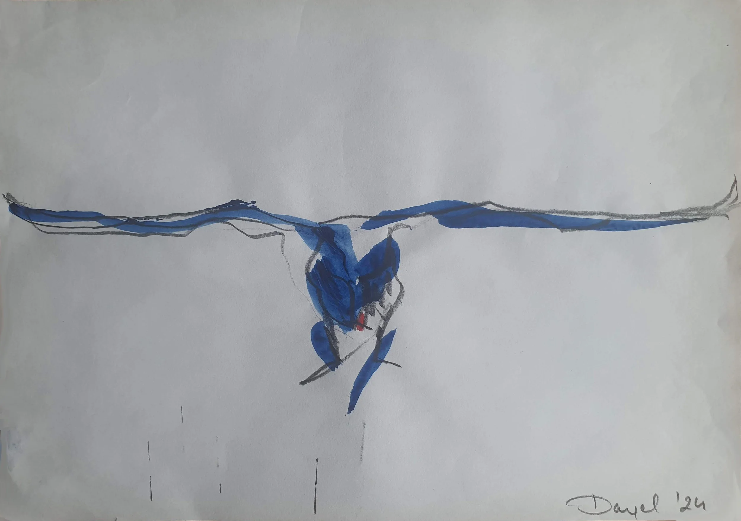 Swan. 11
Pencil and Acrylics on Paper
21 x 30 cm
