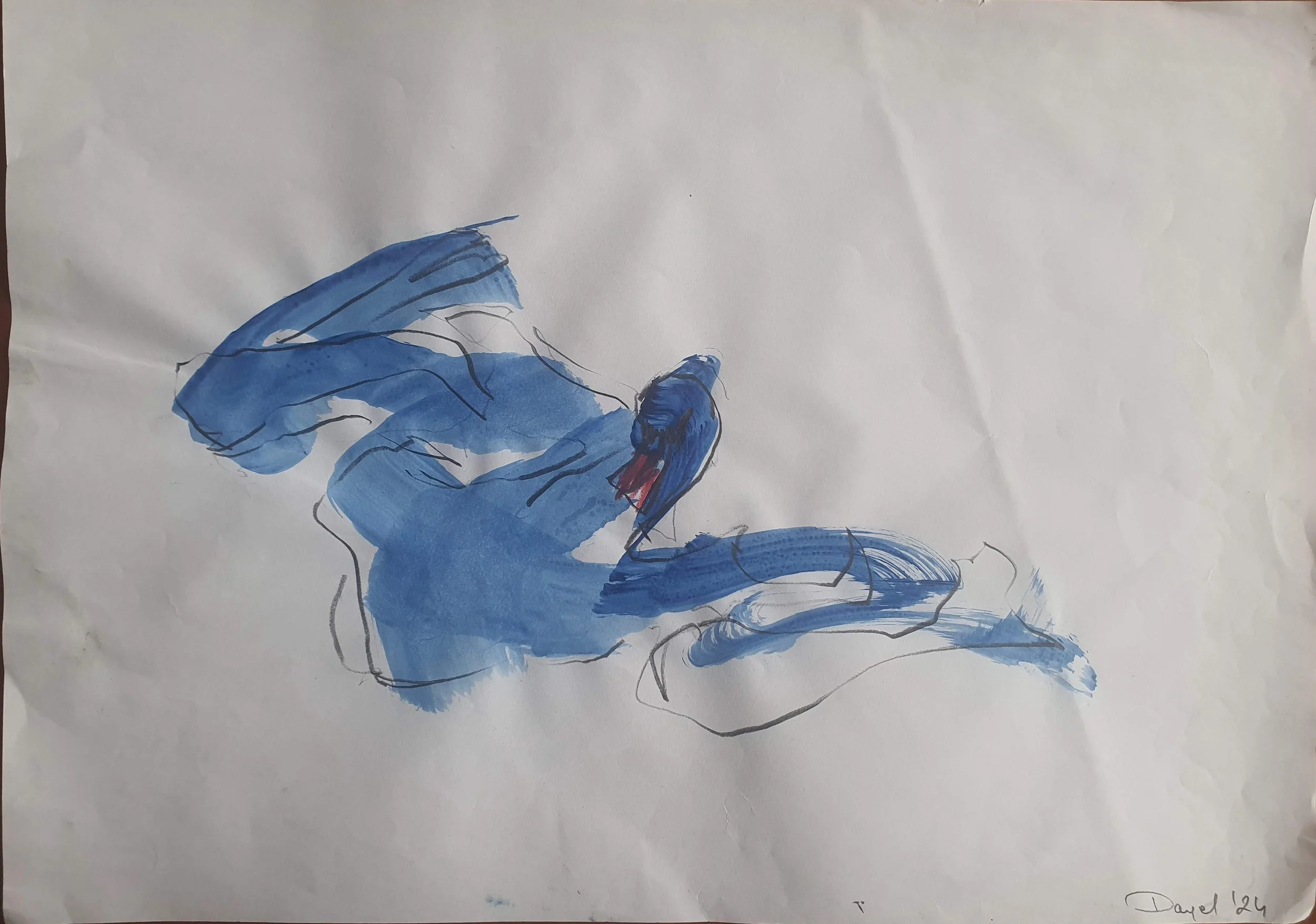 Swan. 1
Pencil and Acrylics on Paper
30 x 42 cm