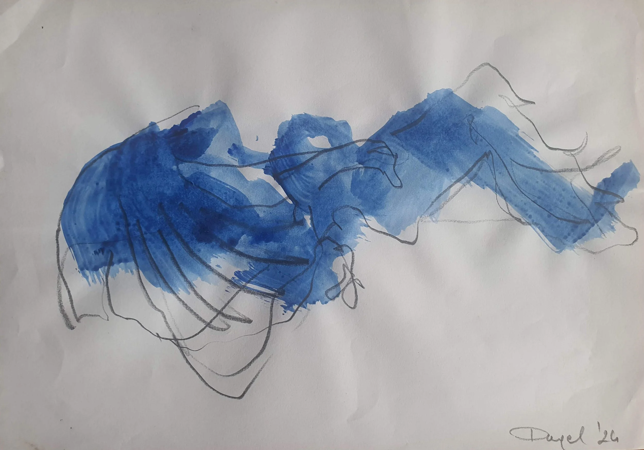 Swan. 12
Pencil and Acrylics on Paper
21 x 30 cm