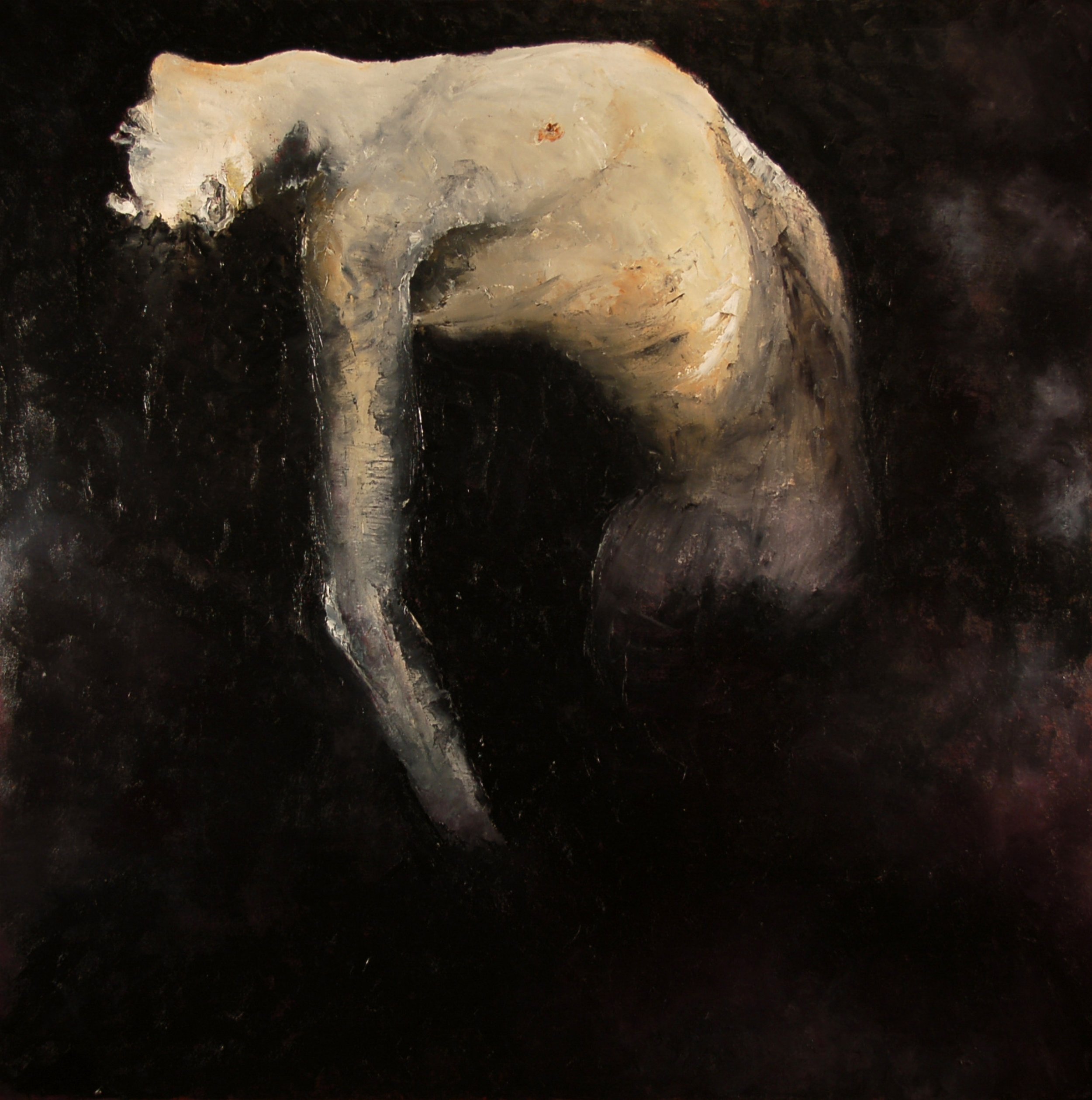 Close-up of a textured, creamy white, circular object with dark shadows on a black background.