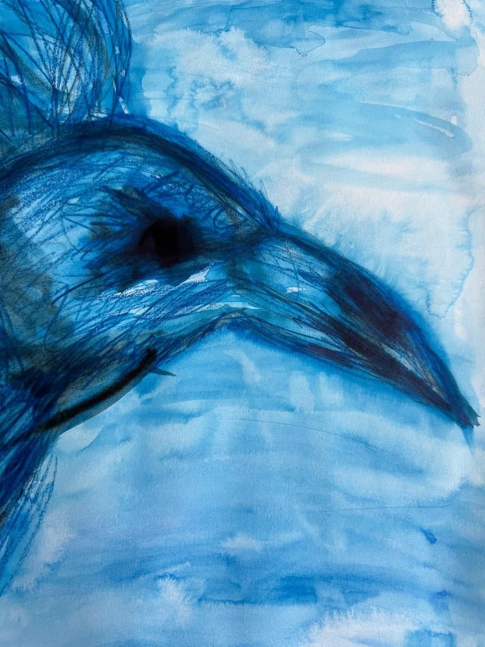 Watercolour bird study by Trish Golfar. A bird in profile, beak lowered, in indigo and ink on a soft blue ground.