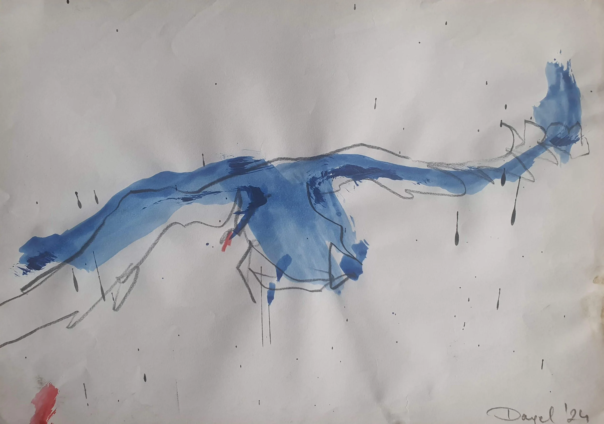 Swan. 13
Pencil and Acrylics on Paper
21 x 30 cm
