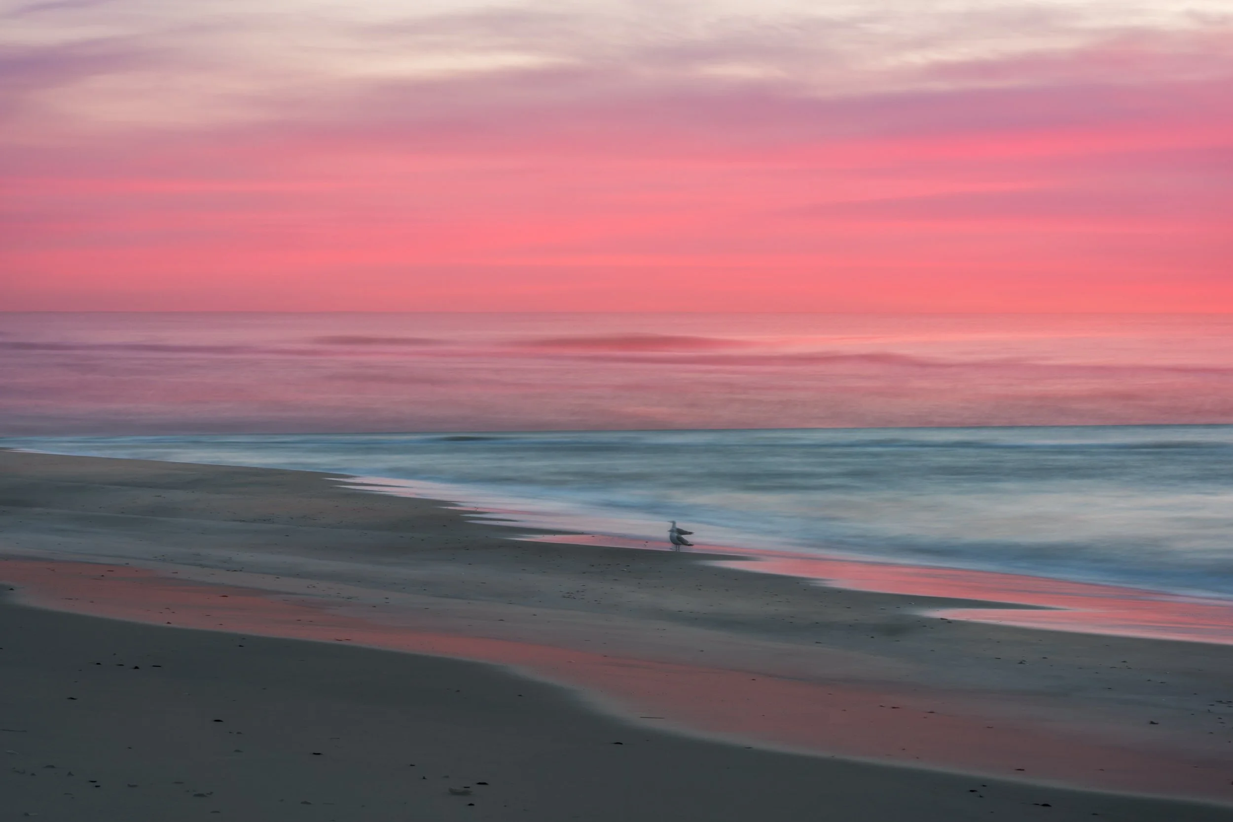 Pink Sunrise