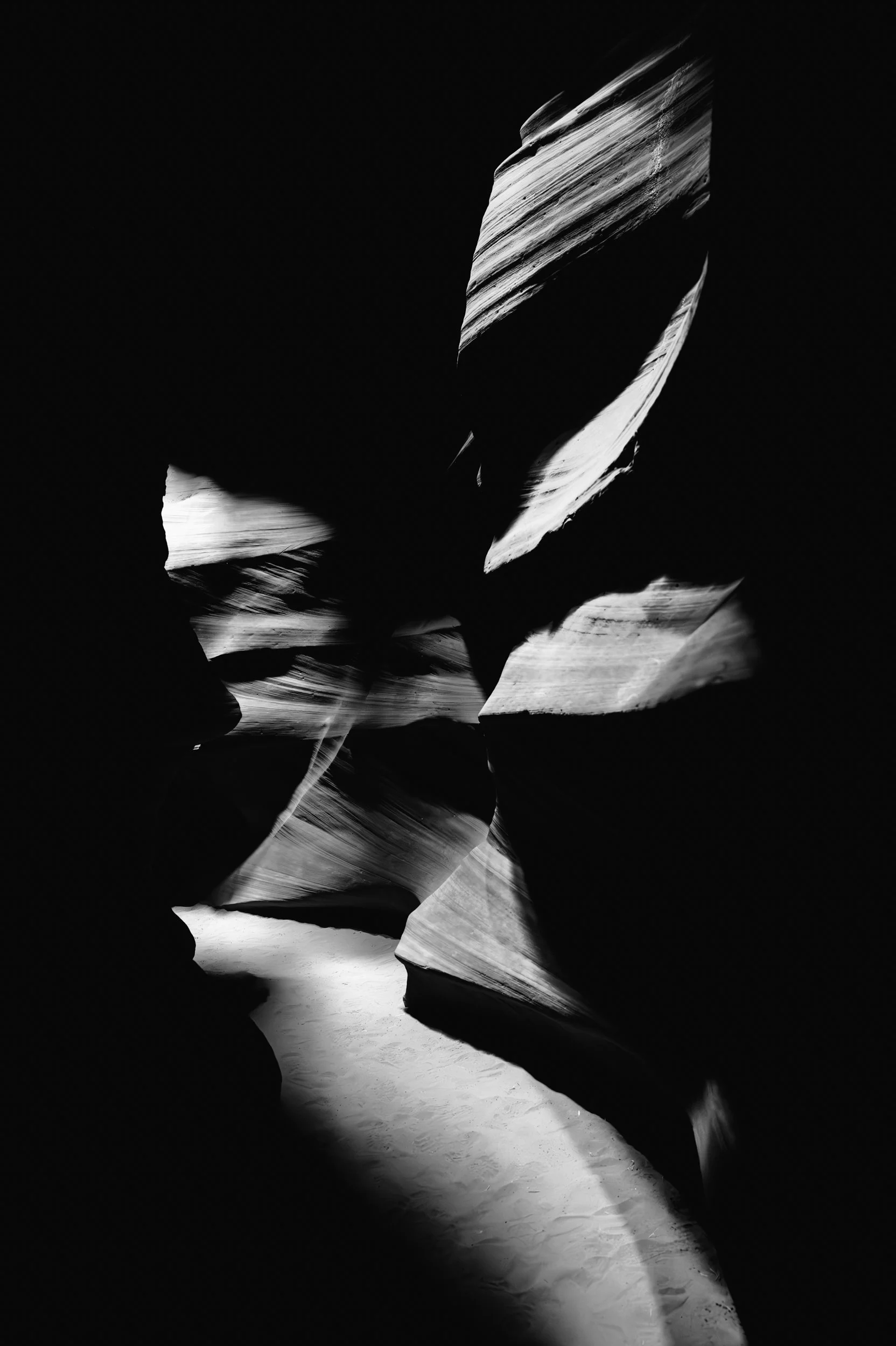 Canyon Flower 3