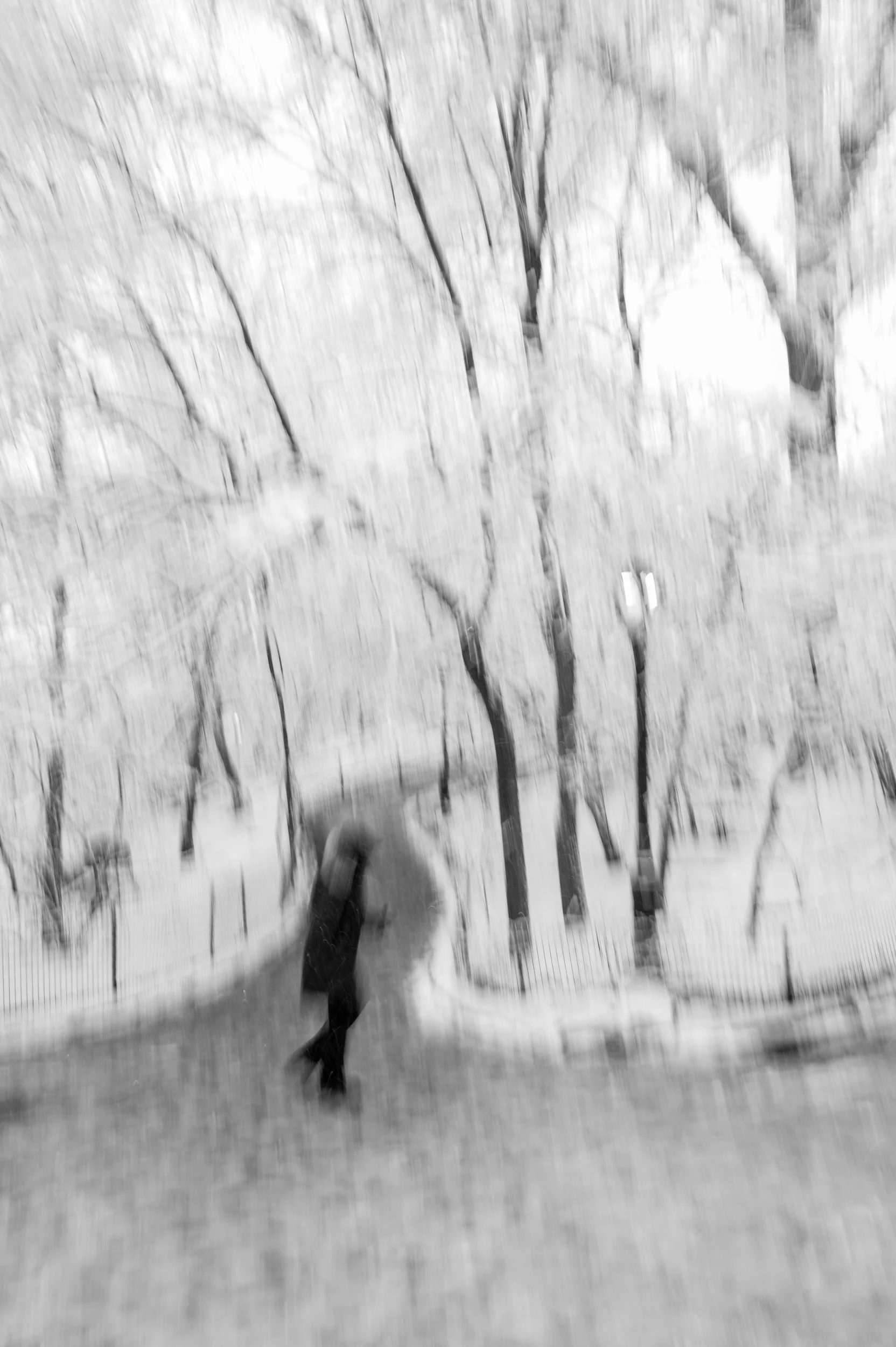 The Rambles, Central Park