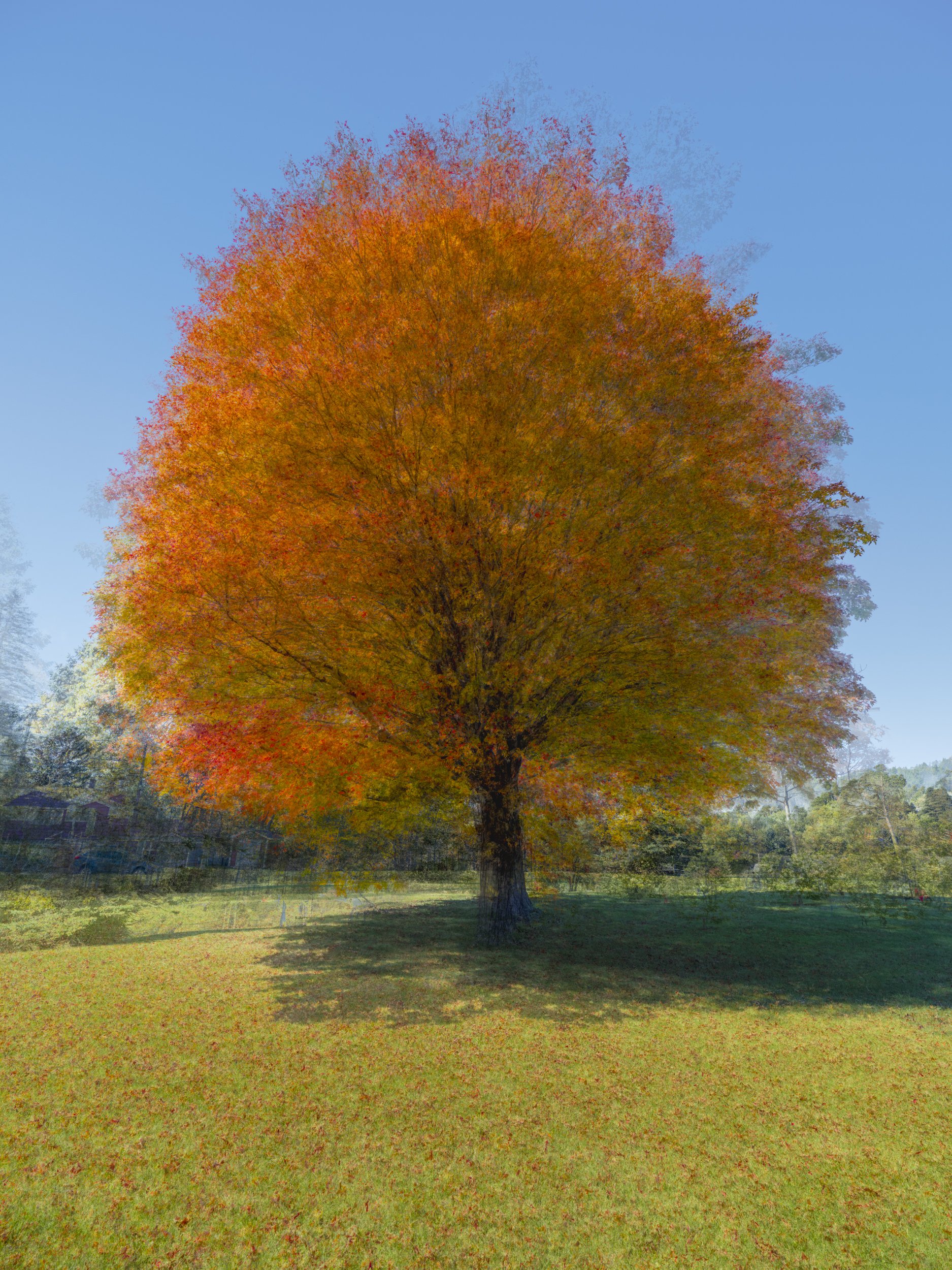 Whispers of Fall