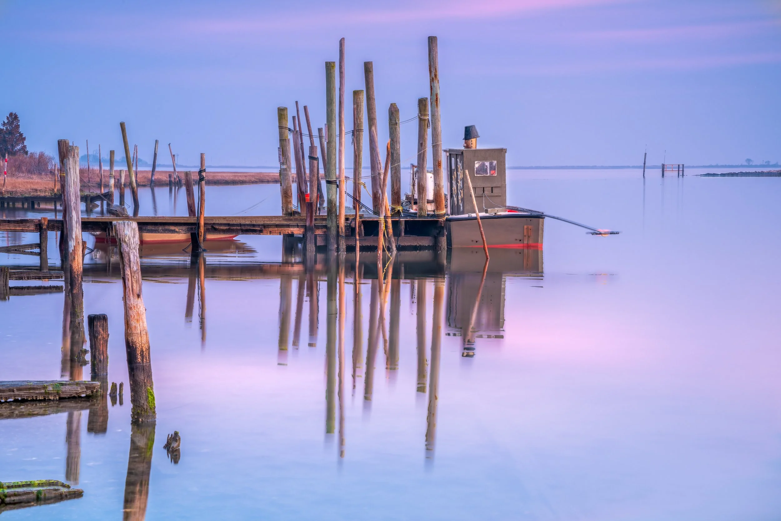 The Clammer