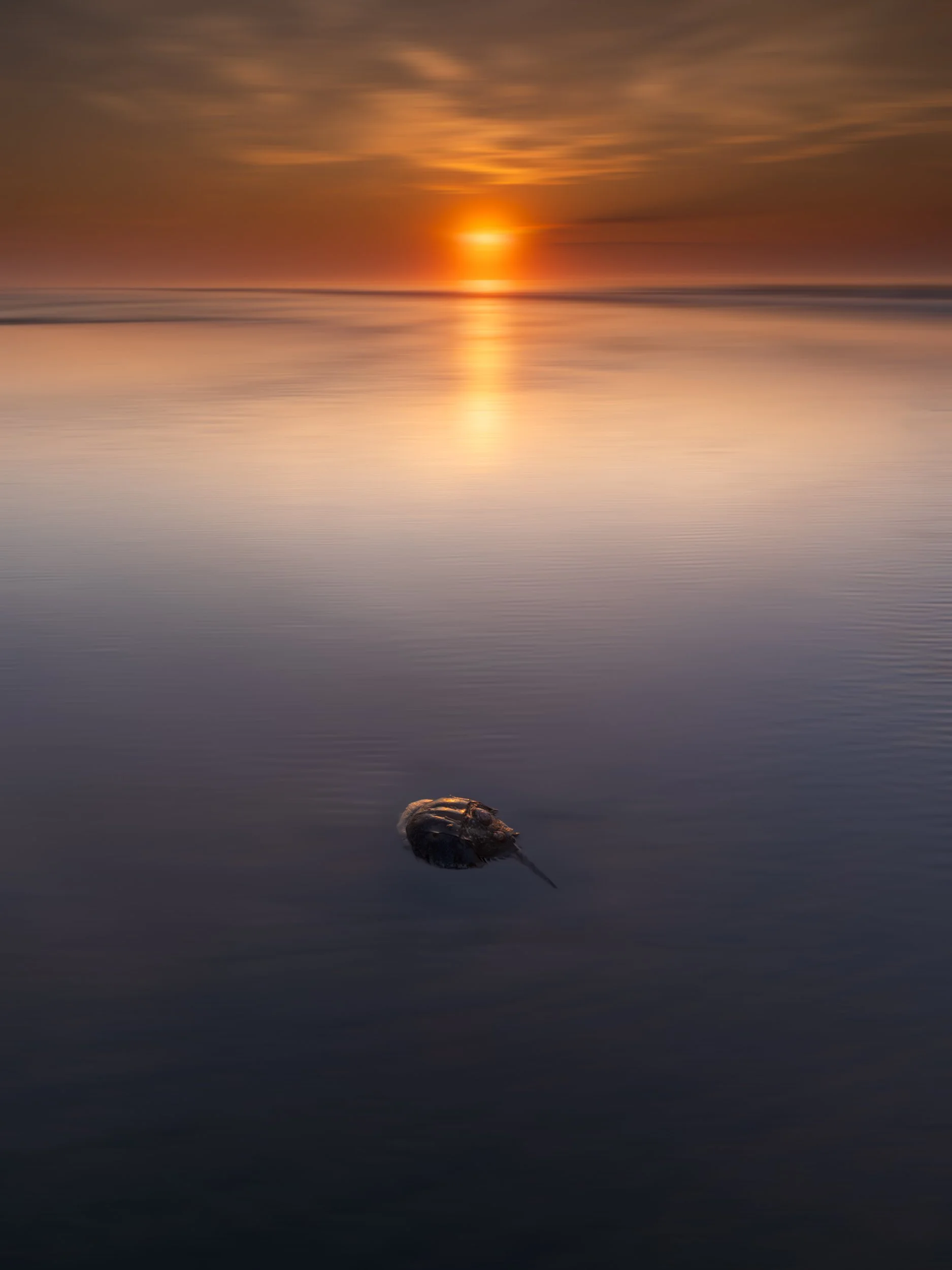 Dawn