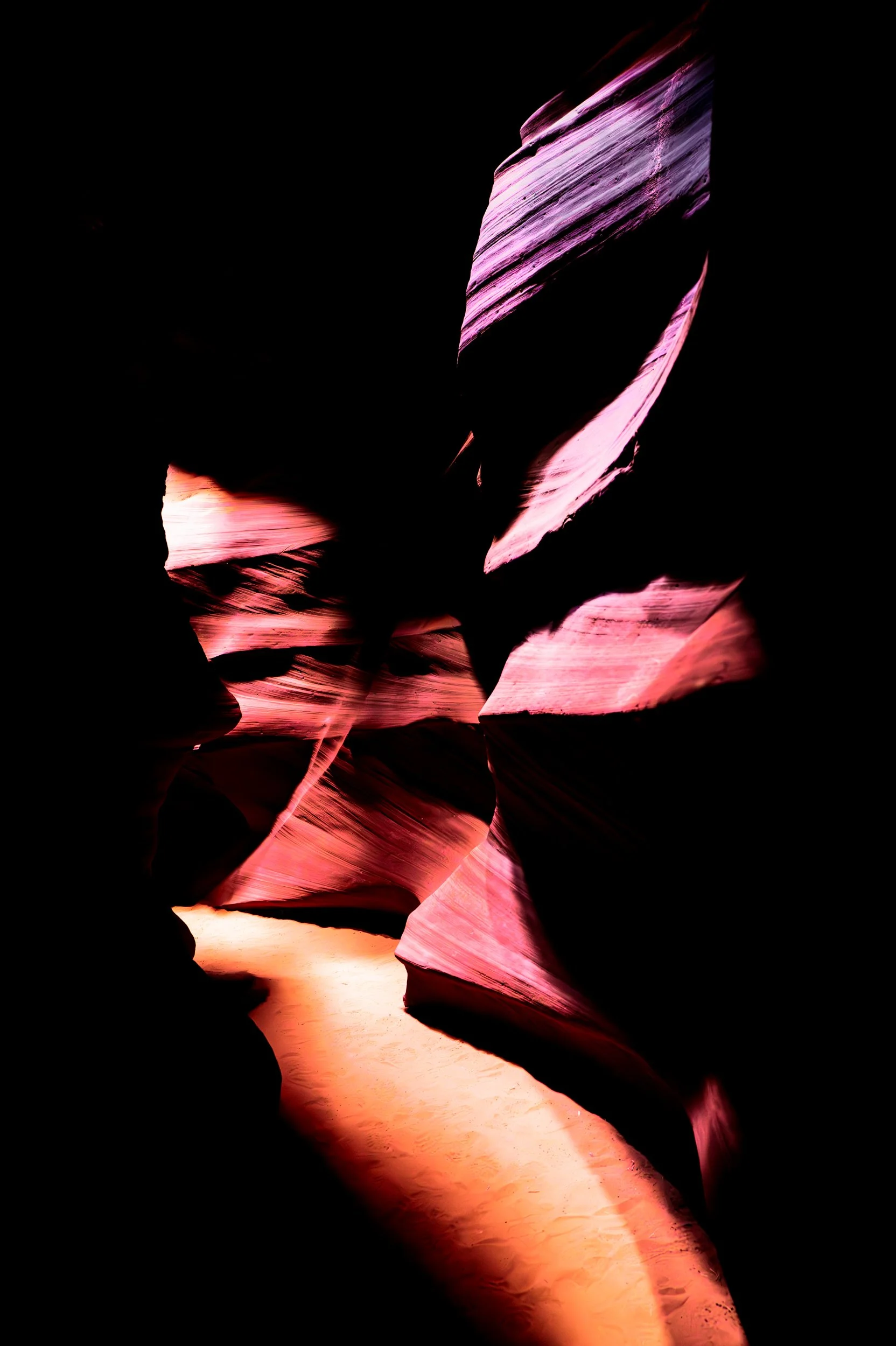 Canyon Flower 6