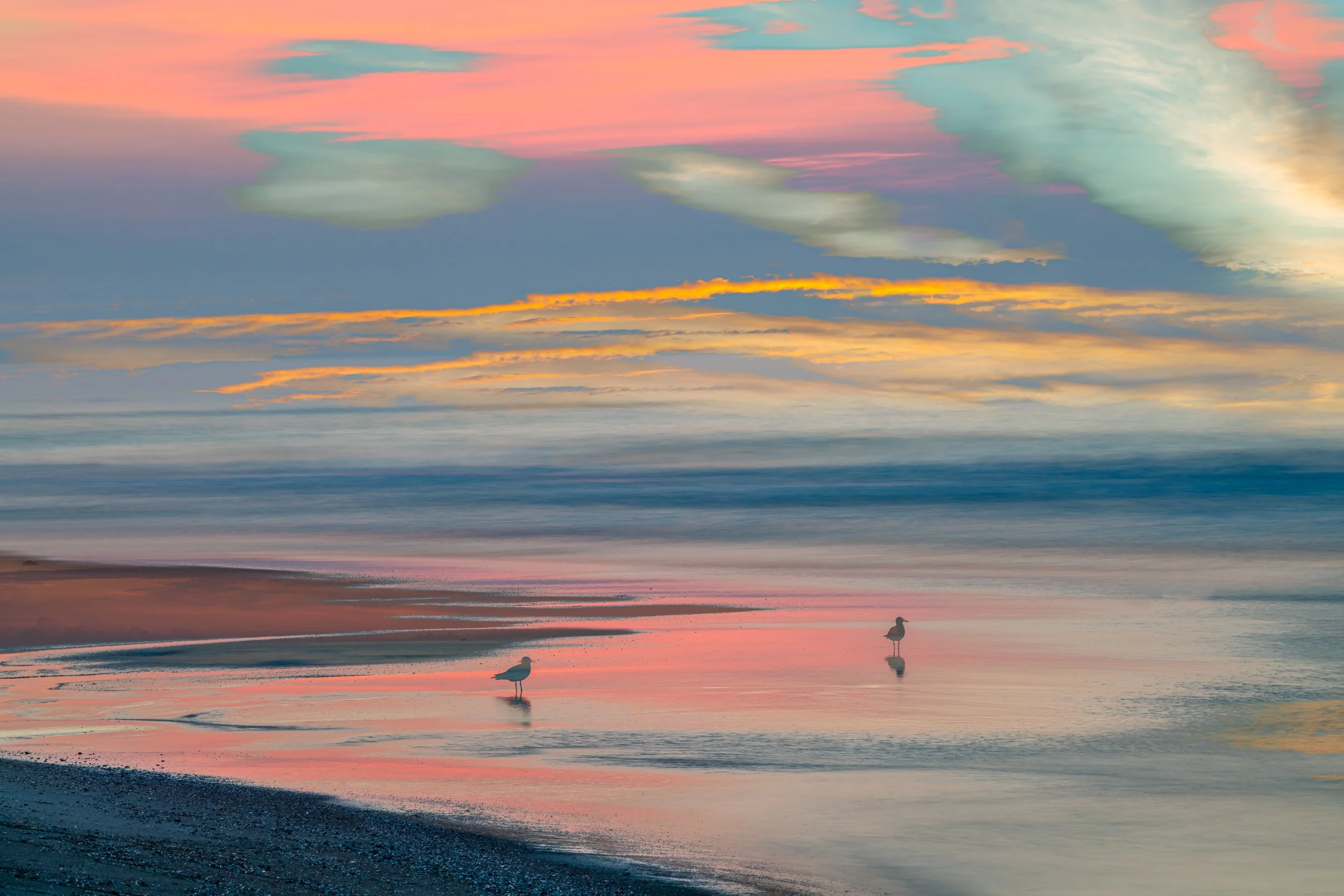 Lonely Gulls