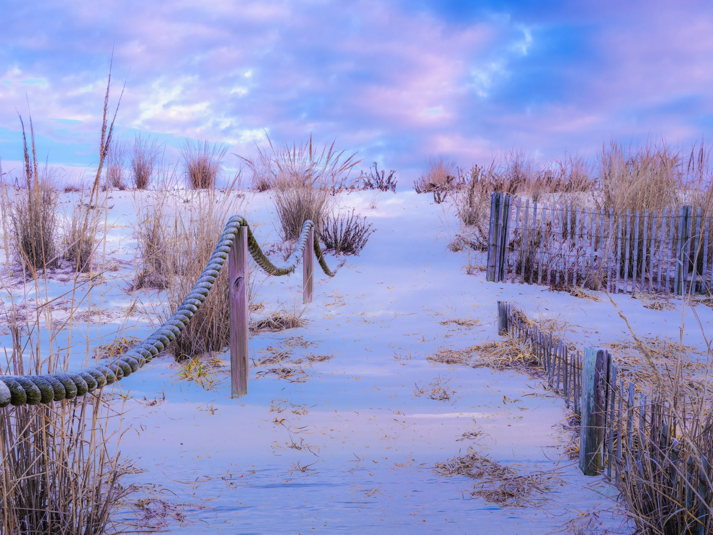 Pink Pathway
