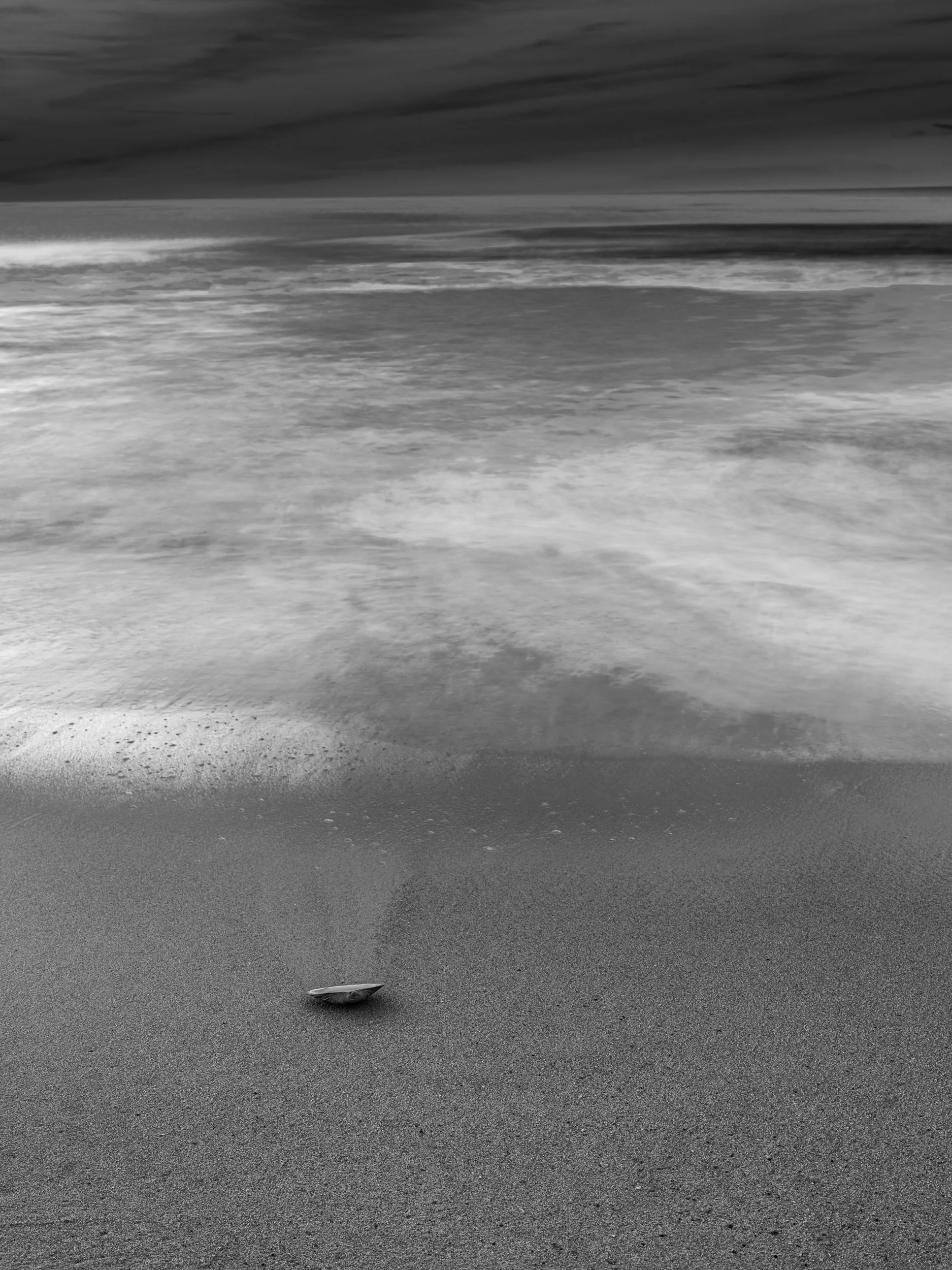 The Shell
