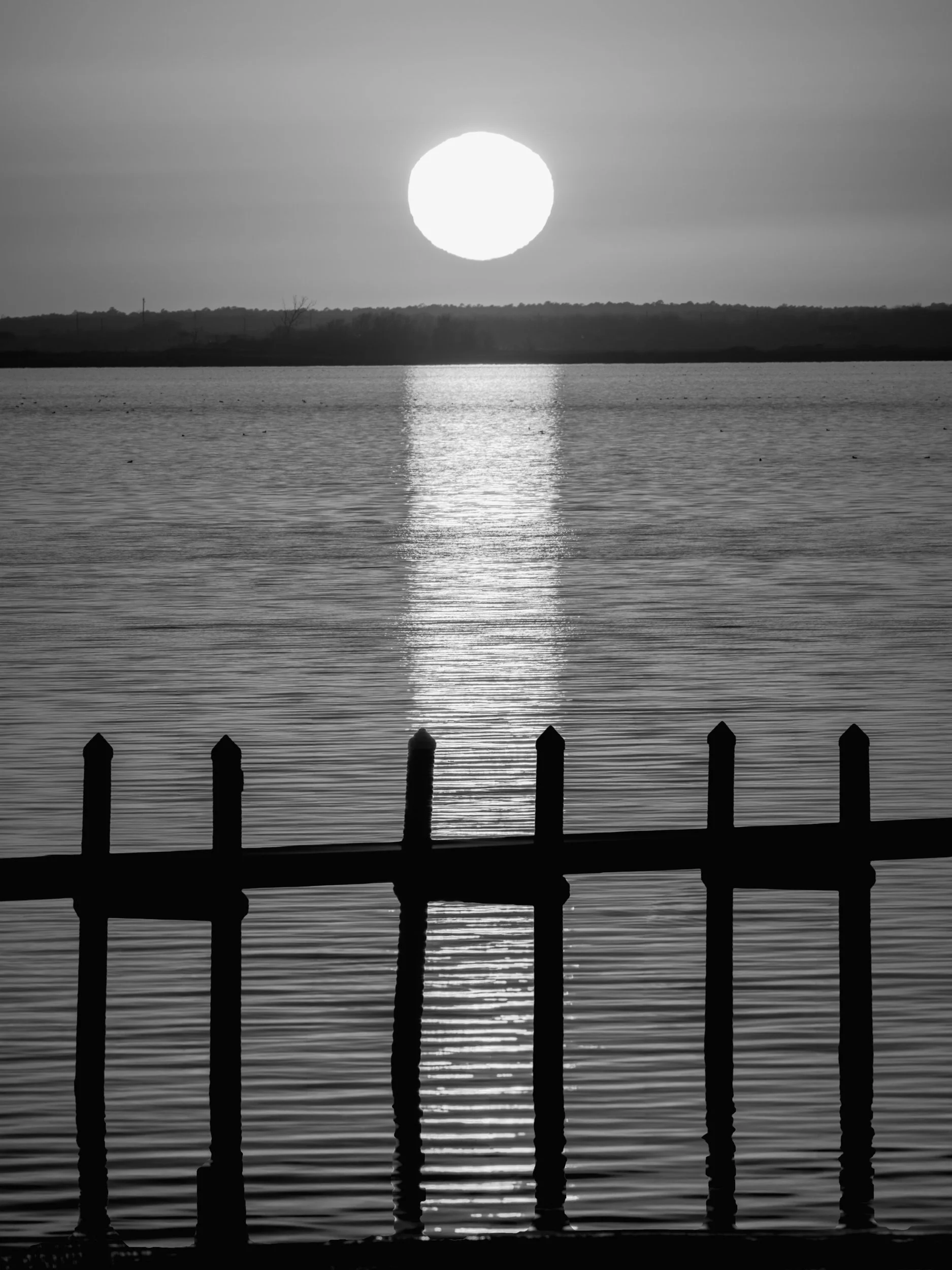 Monochrome Dock Sunset