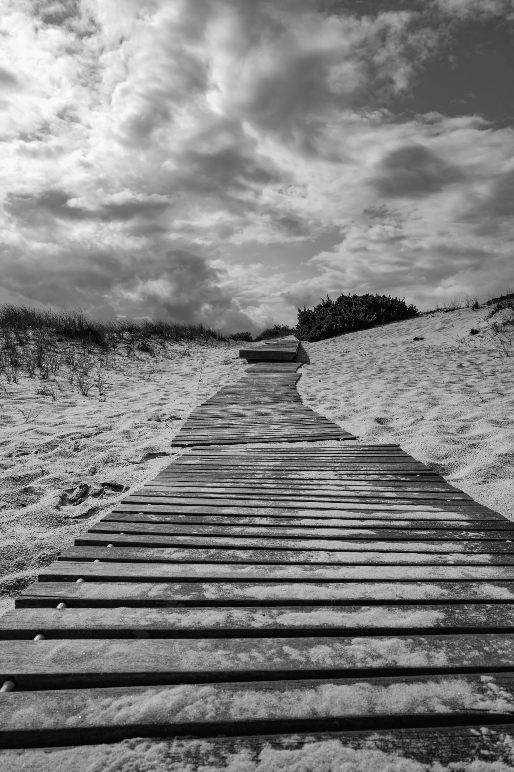 Dune Pathway