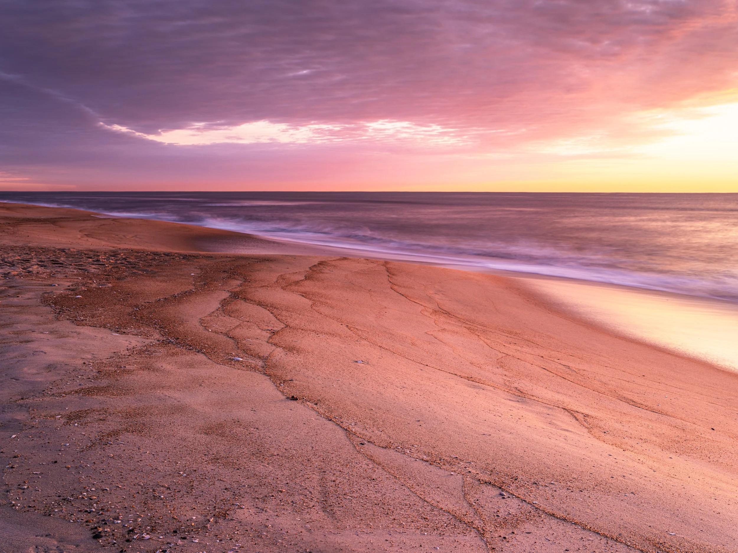 The Shoreline