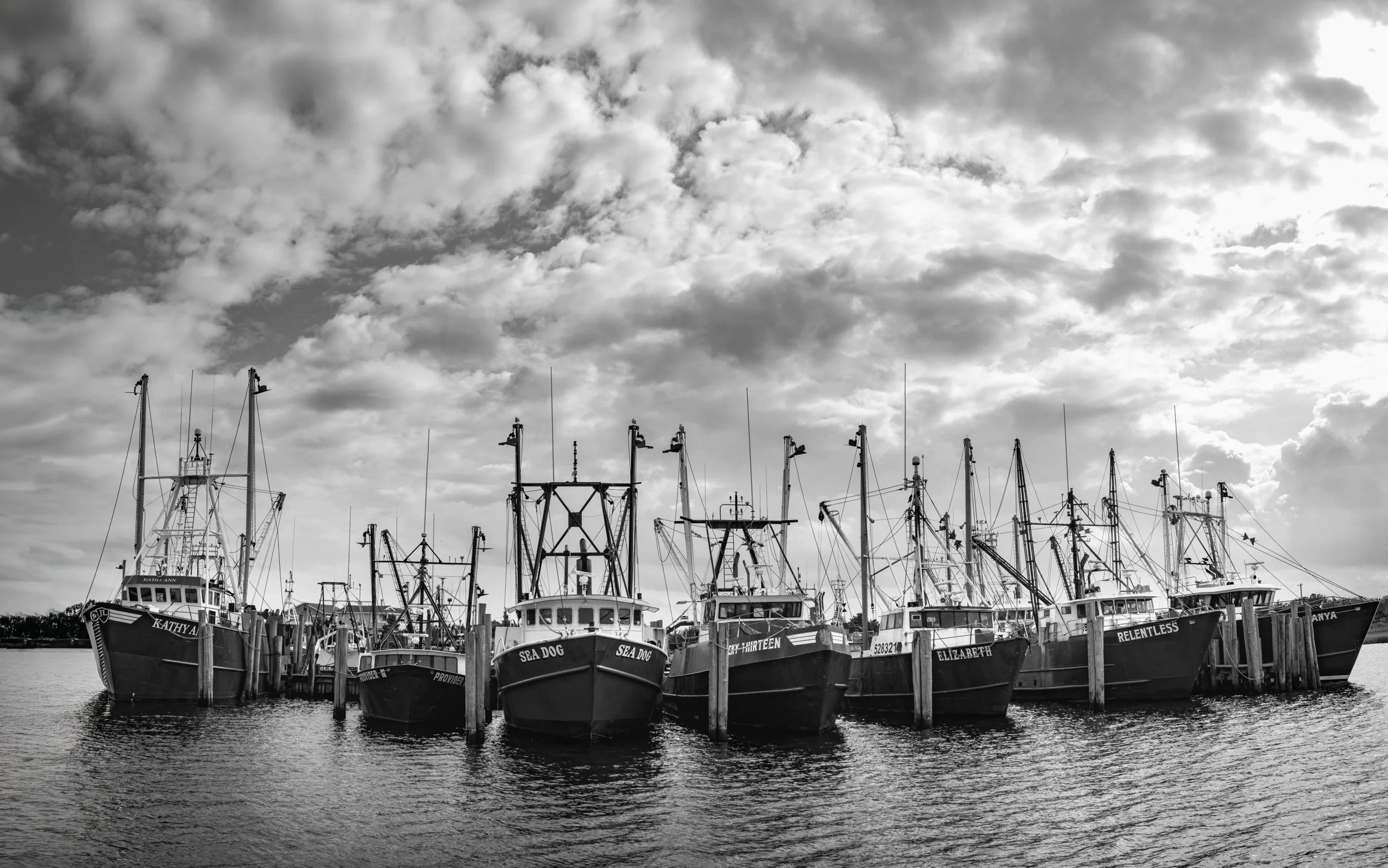 Viking Village Fleet