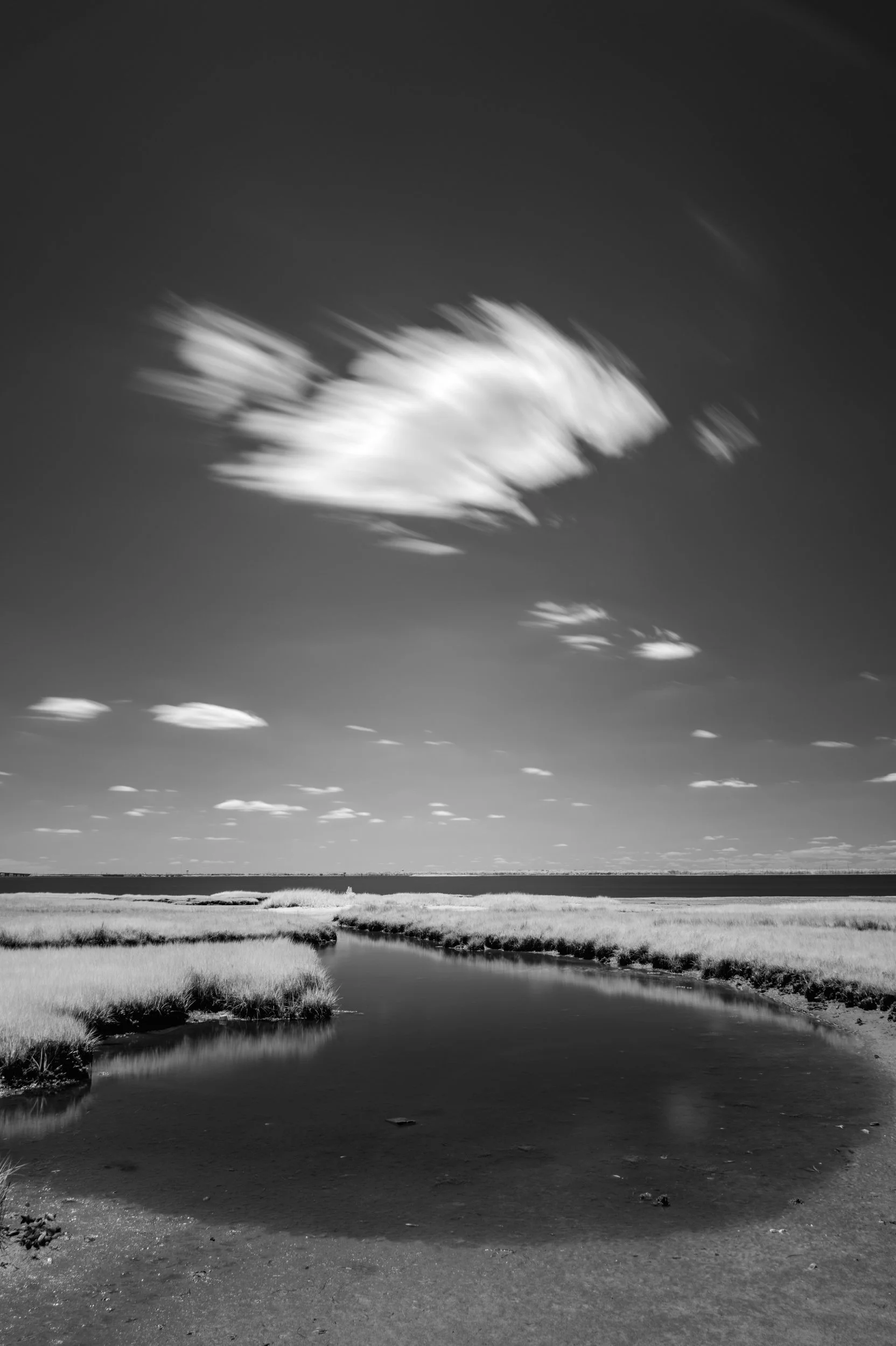 Tidal Pool