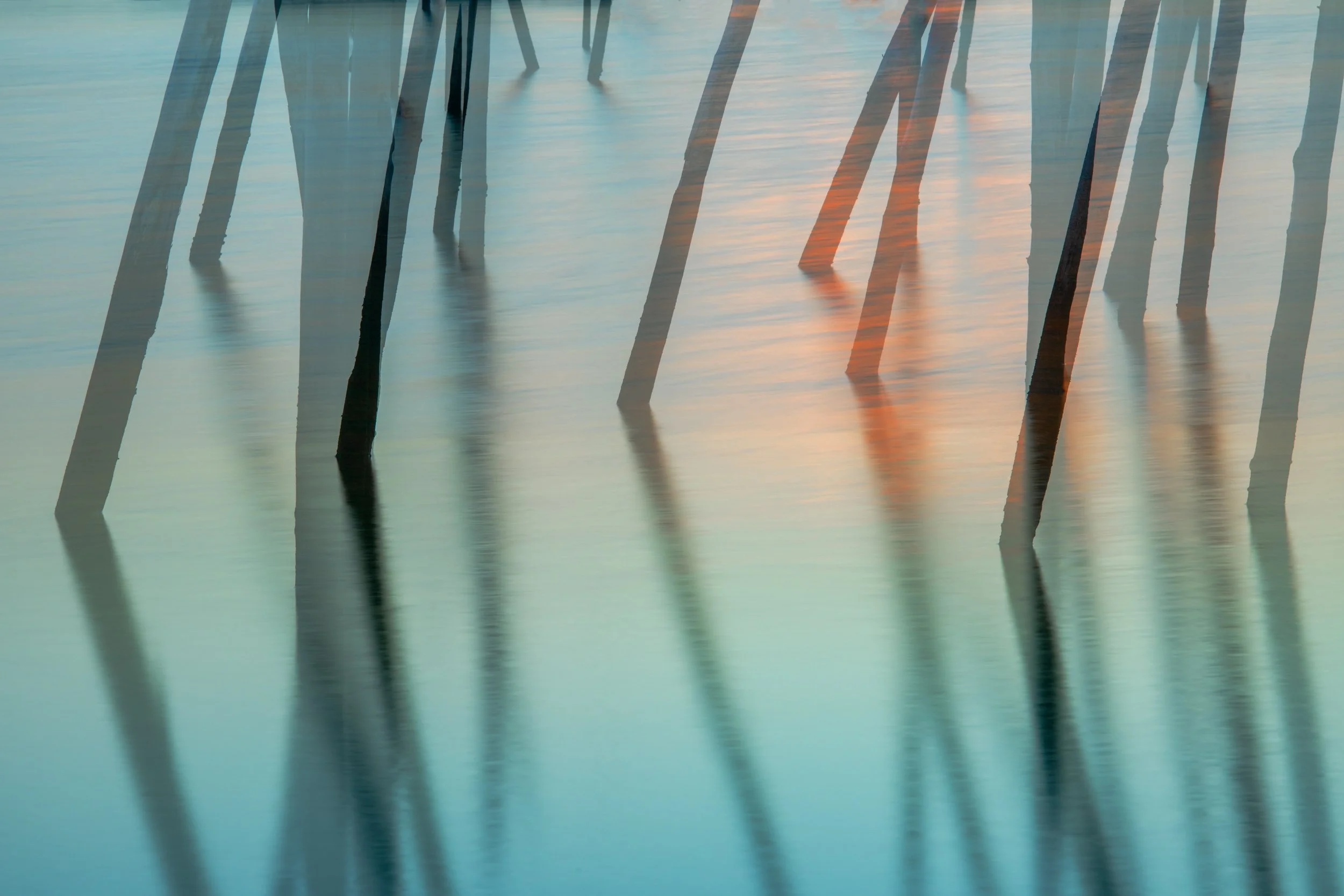 Lines at Sunset