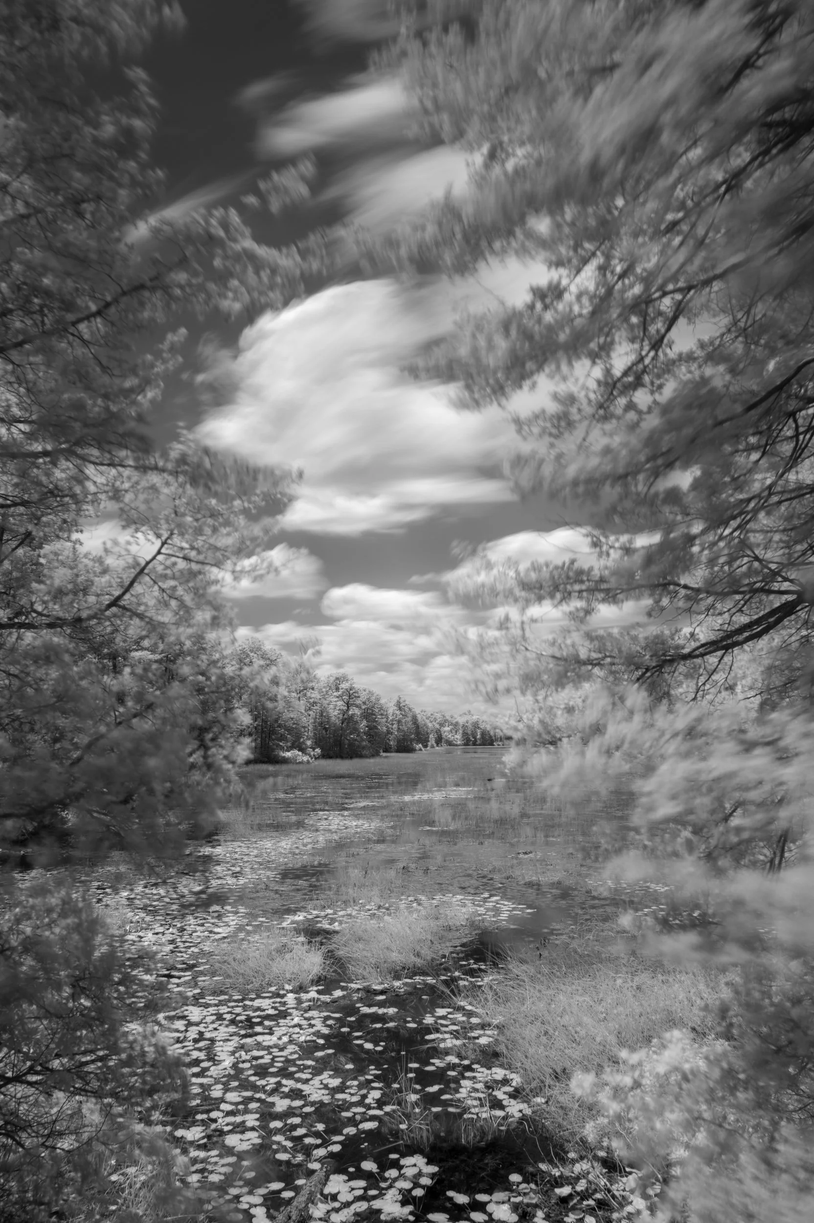 River View