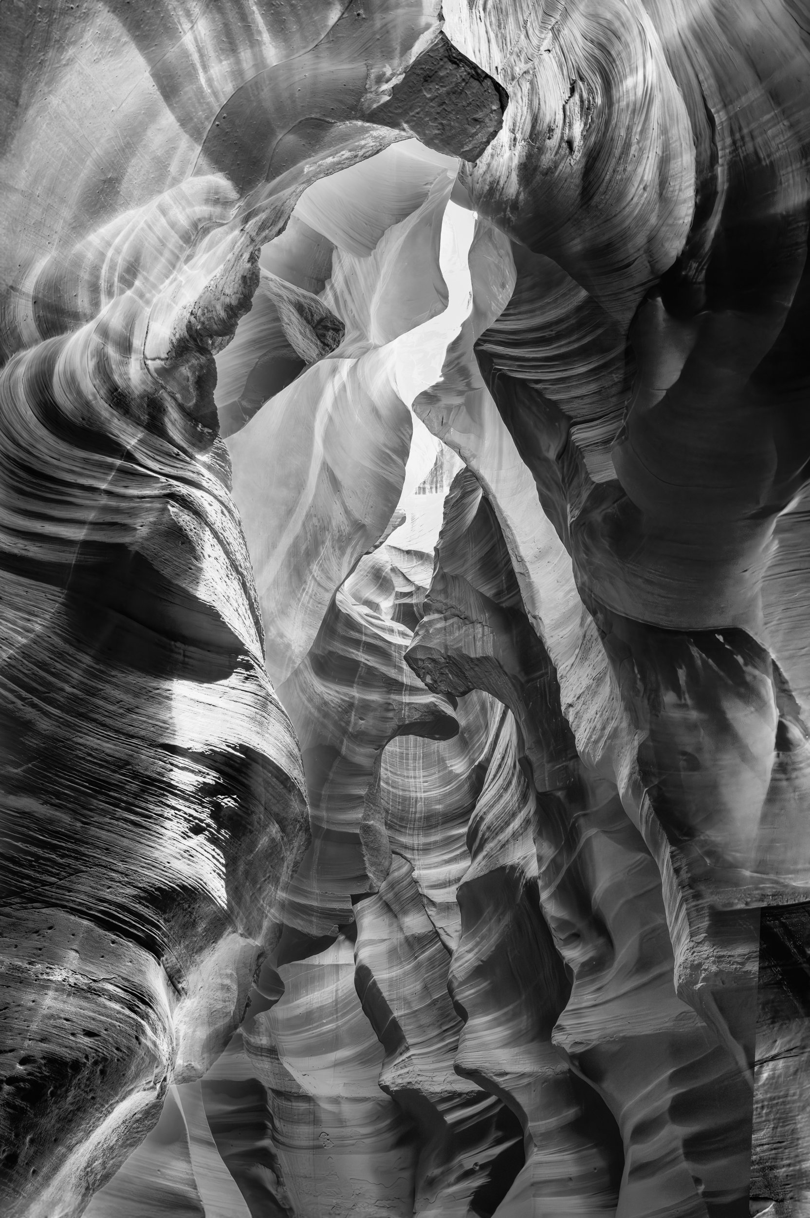 Monochrome Lady 1