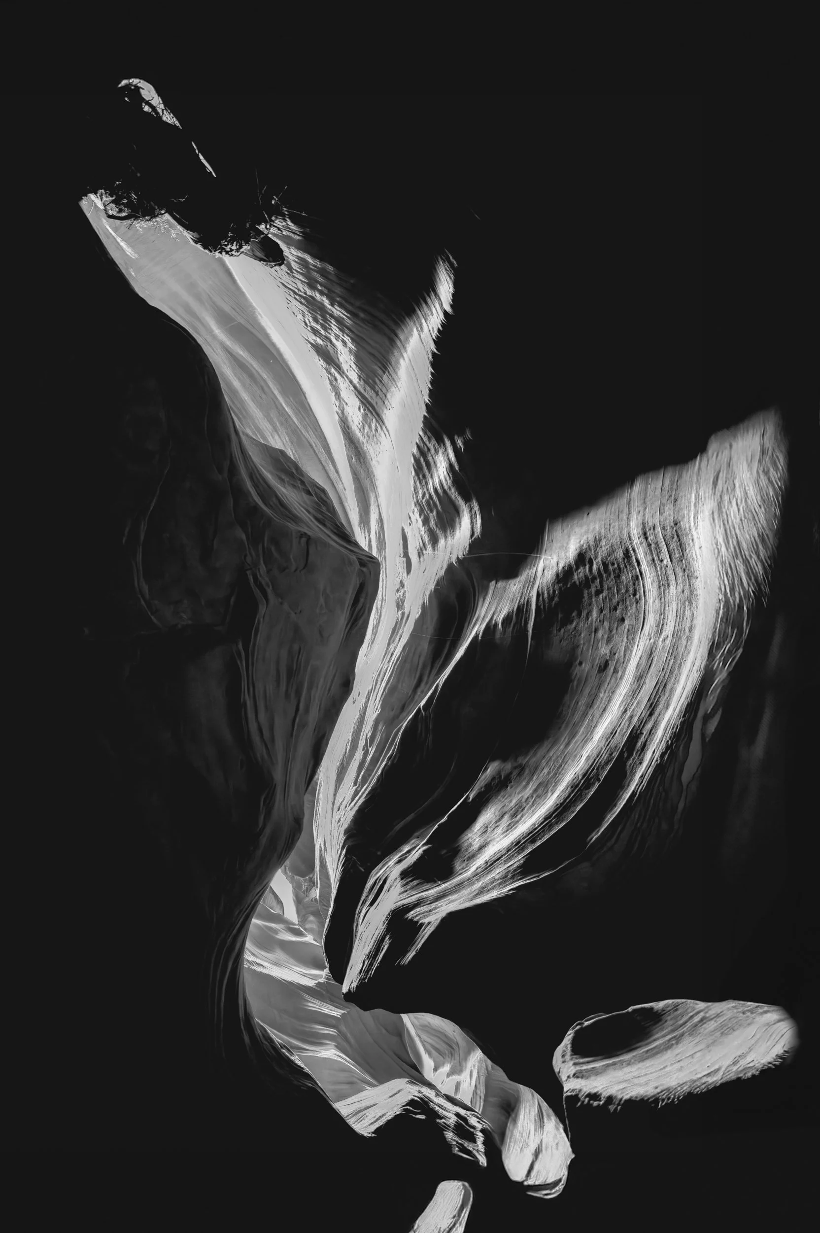 Canyon Flower 2