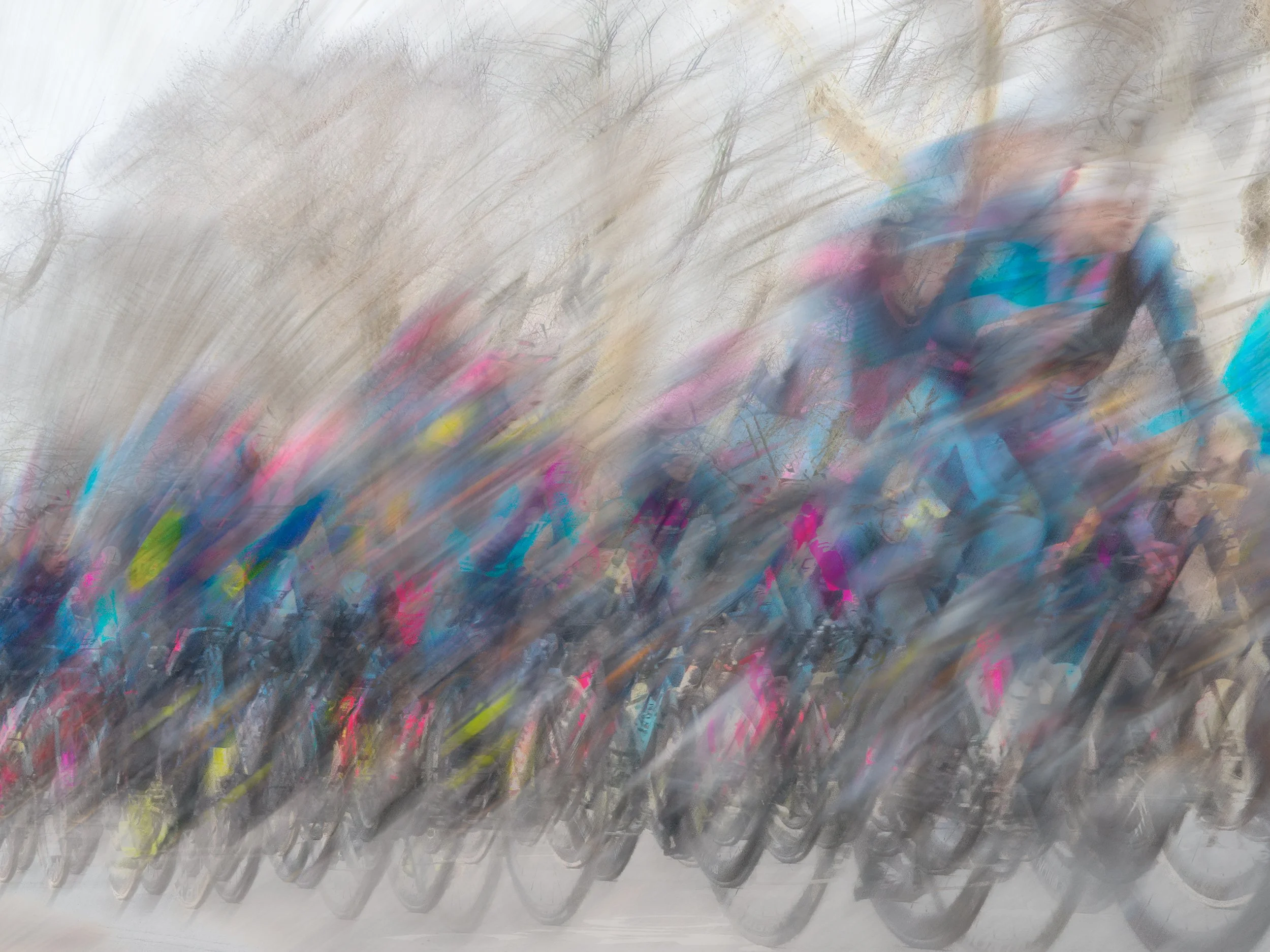 Central Park Bike Race